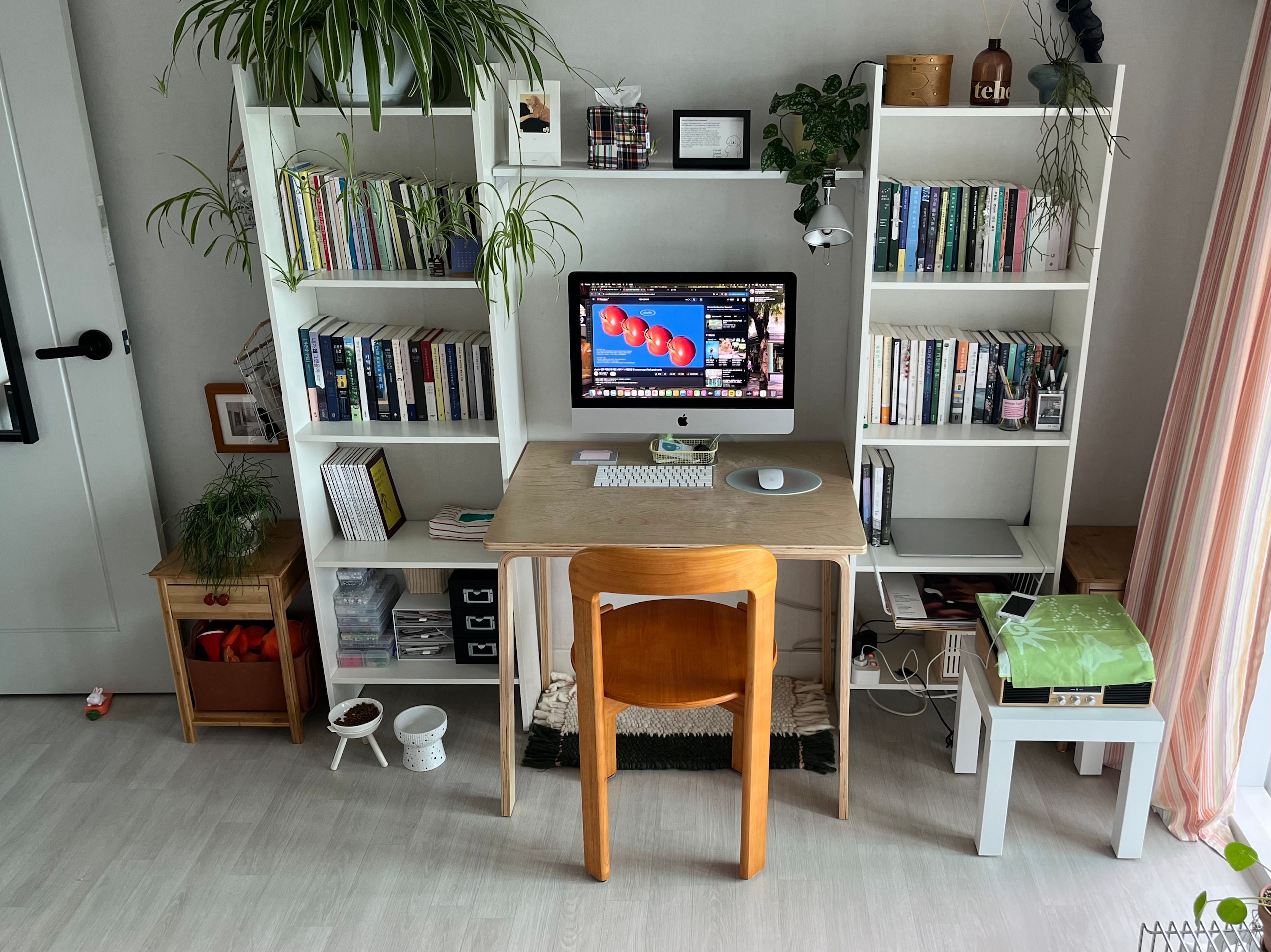 Solid Wood Curve Back Dining Chair user photo