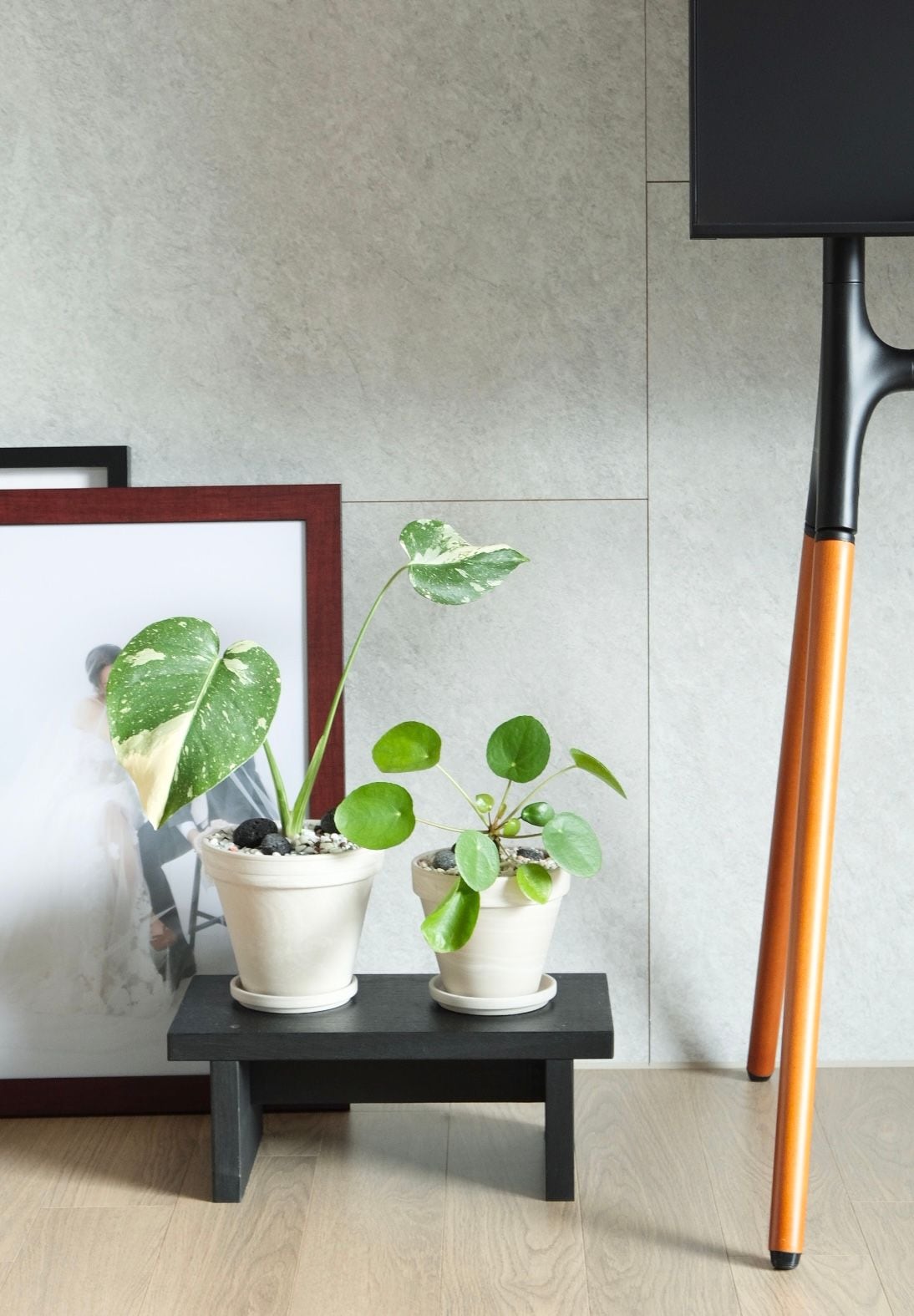 Rectangular Wood Mini Plant Stand user photo