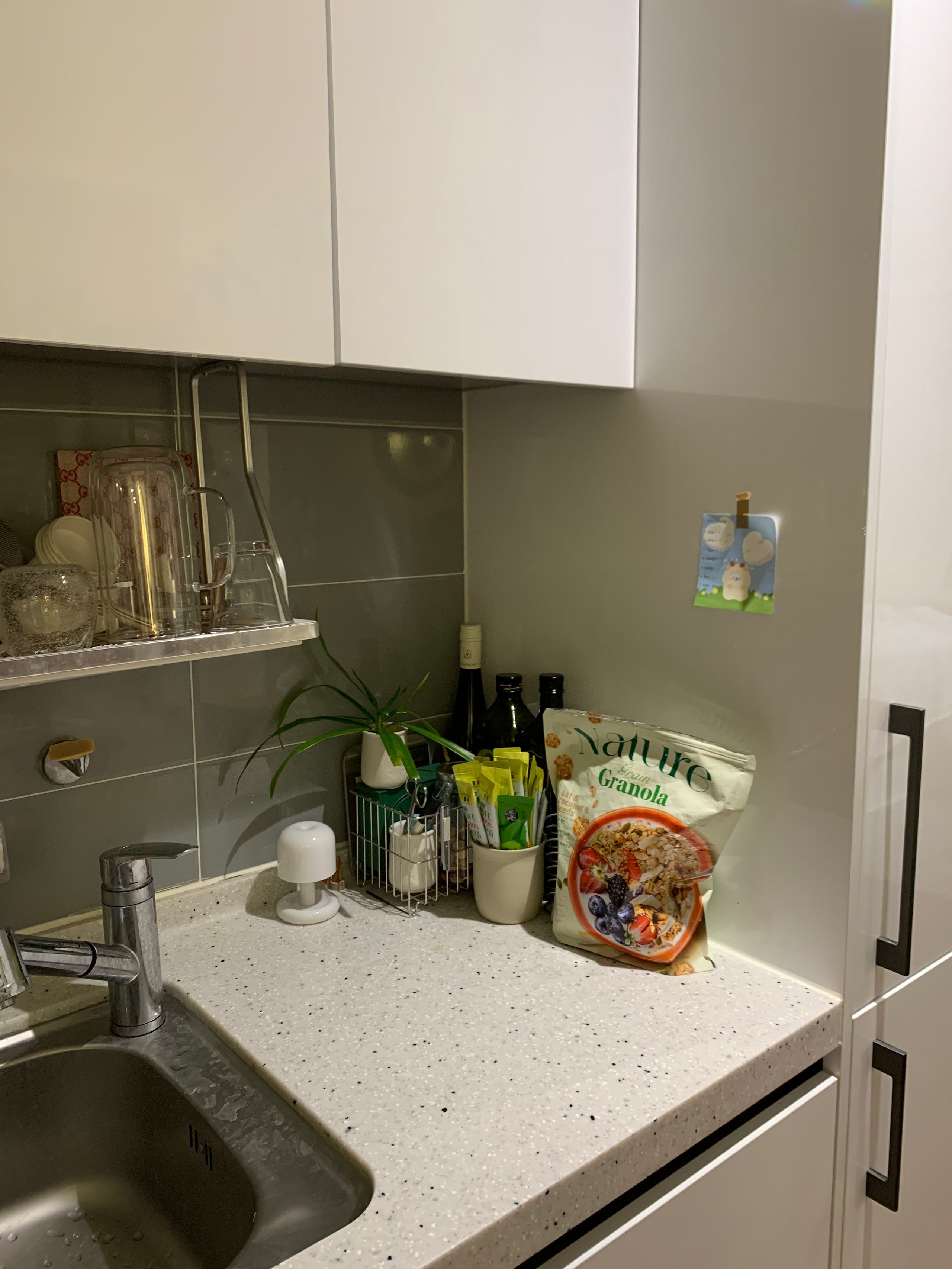 Insulated Double Wall Glass Mug (Set of 2) user photo