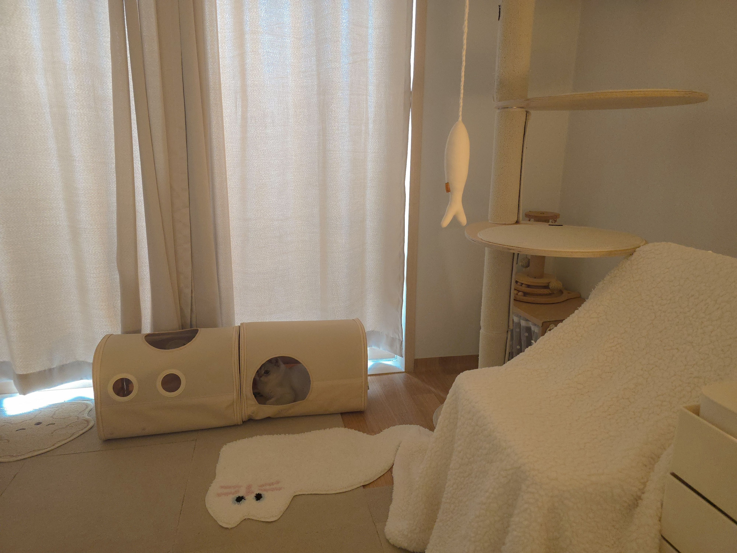 Sweet Cat Tufted Rug user photo