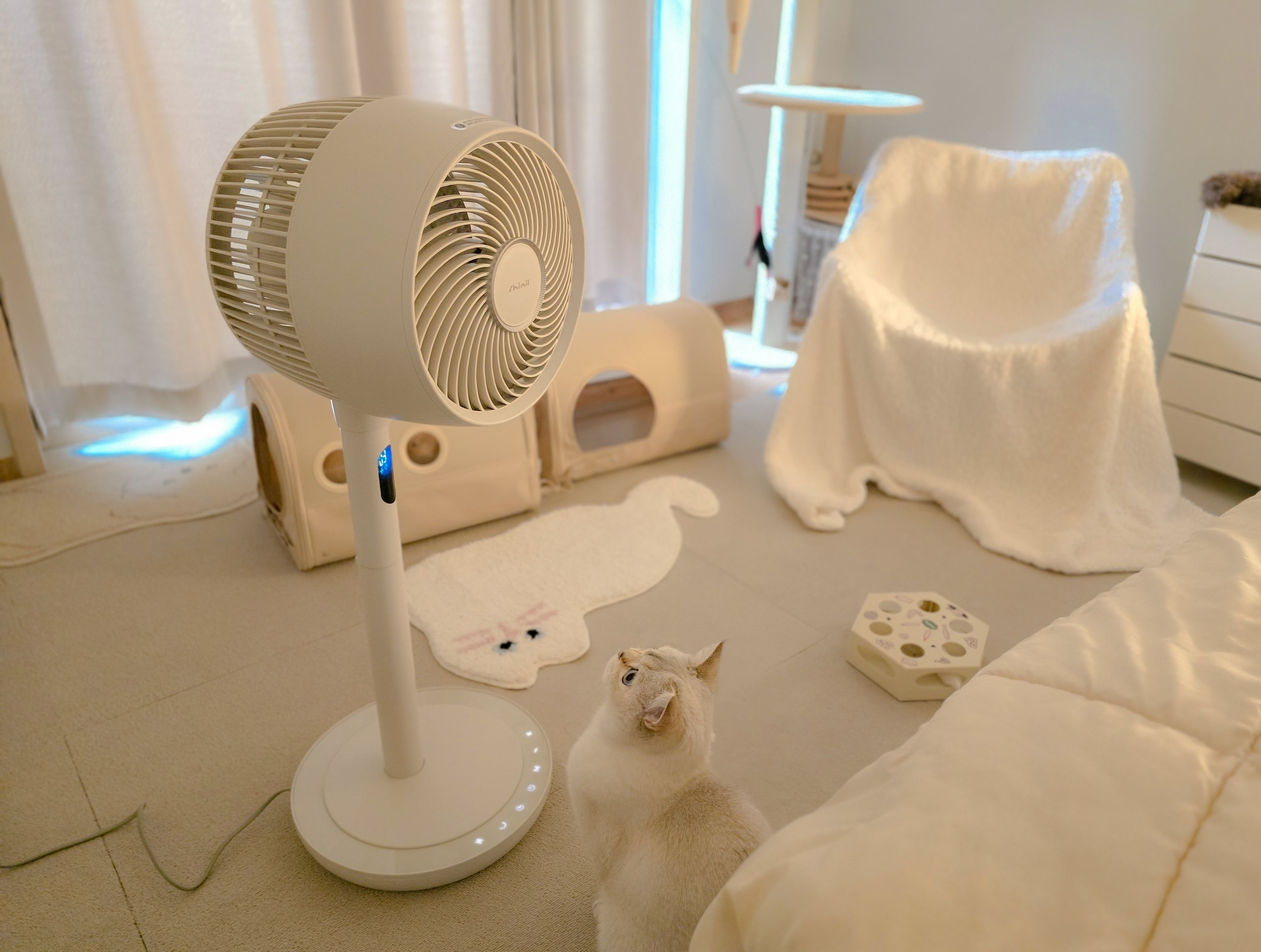 Sweet Cat Tufted Rug user photo