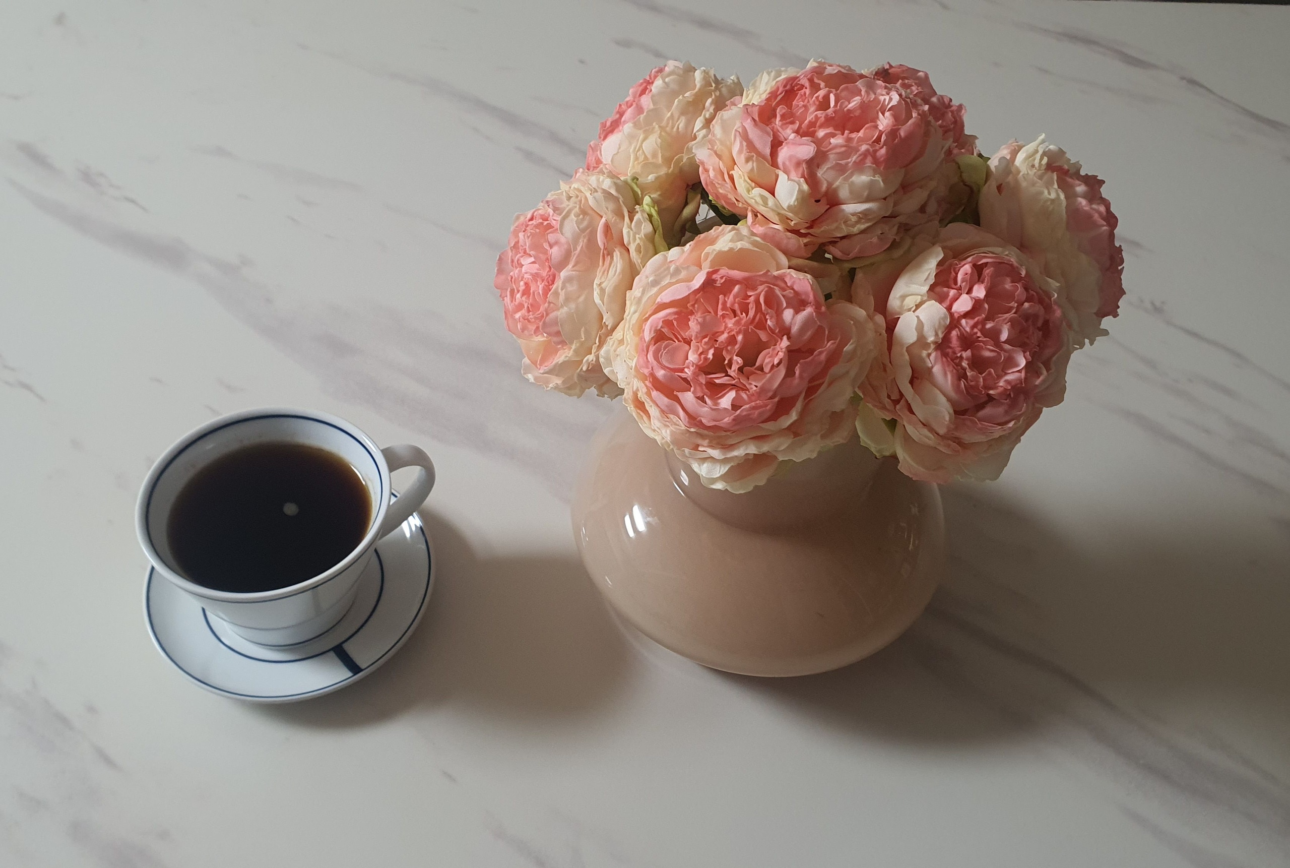 Blue Line V Coffee Cup user photo