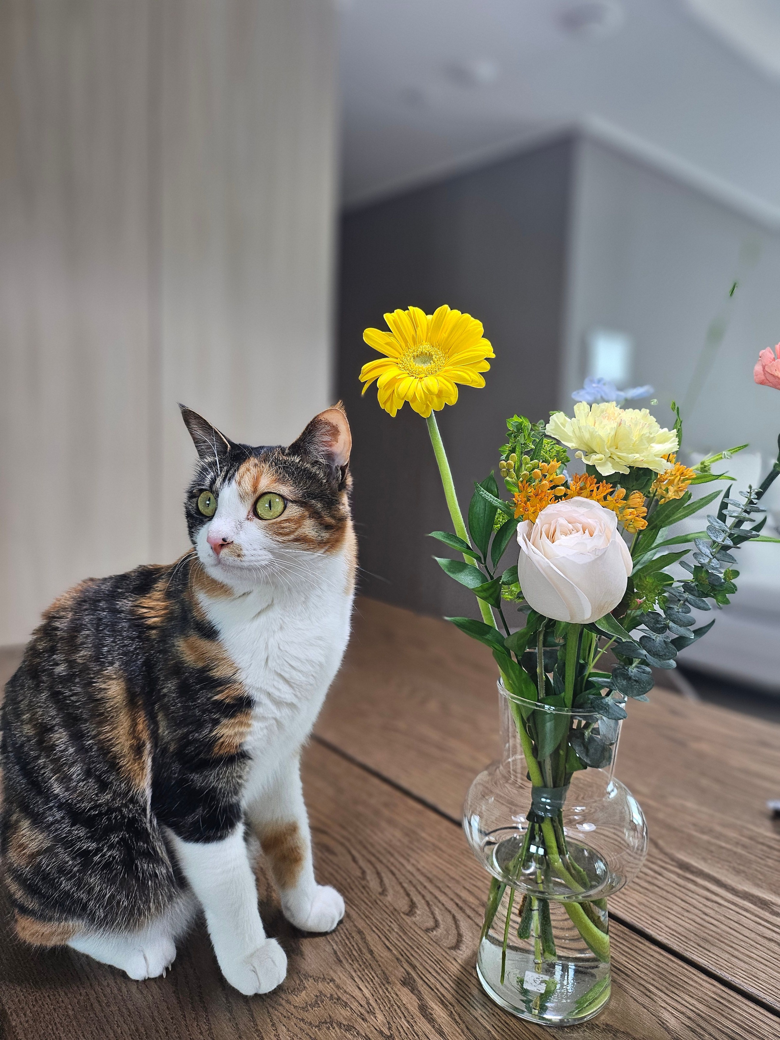 Rondi Voluminous Colored Glass Vase user photo