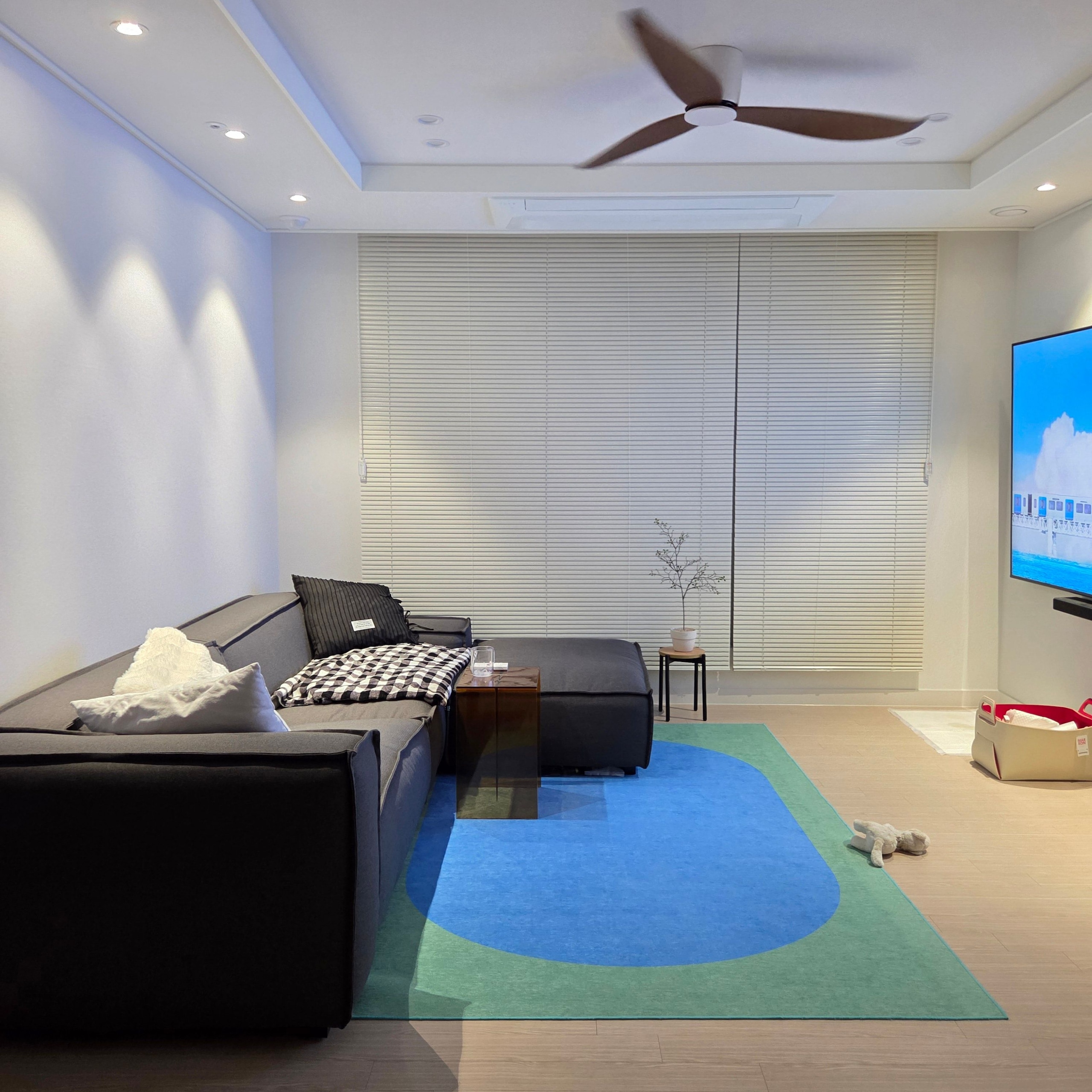BWTZ Easy-Care Dust-Free Washable Area Rug user photo