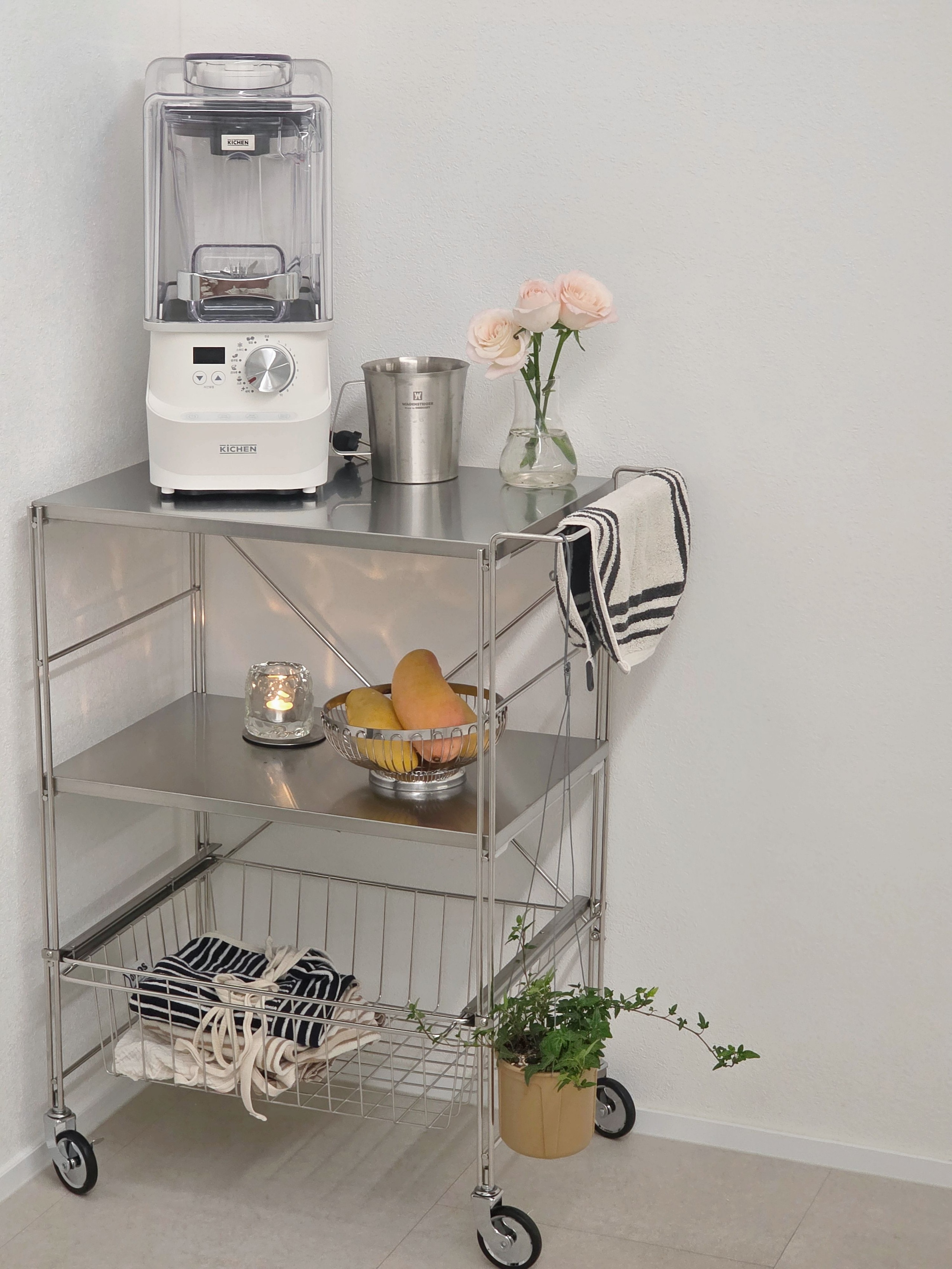 Flat Stainless Steel 3-Tier Trolley Wagon user photo