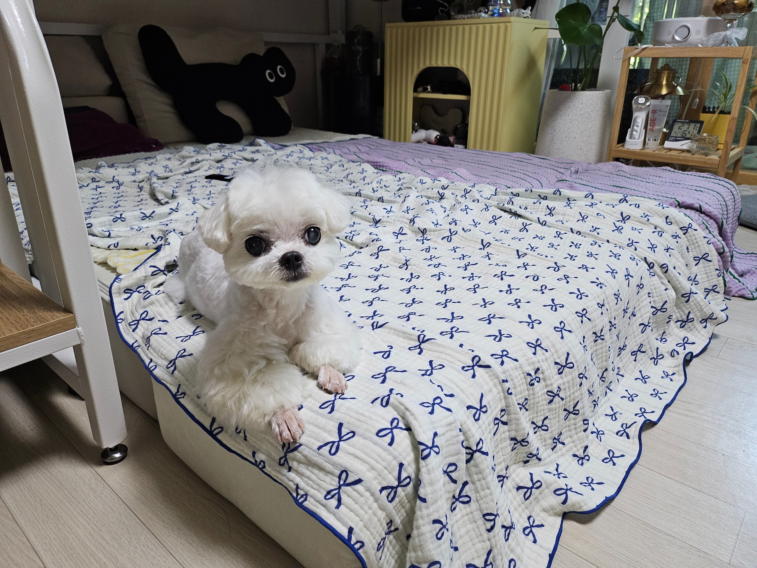 Ribbon Line Reversible 4-Layer Gauze Blanket user photo