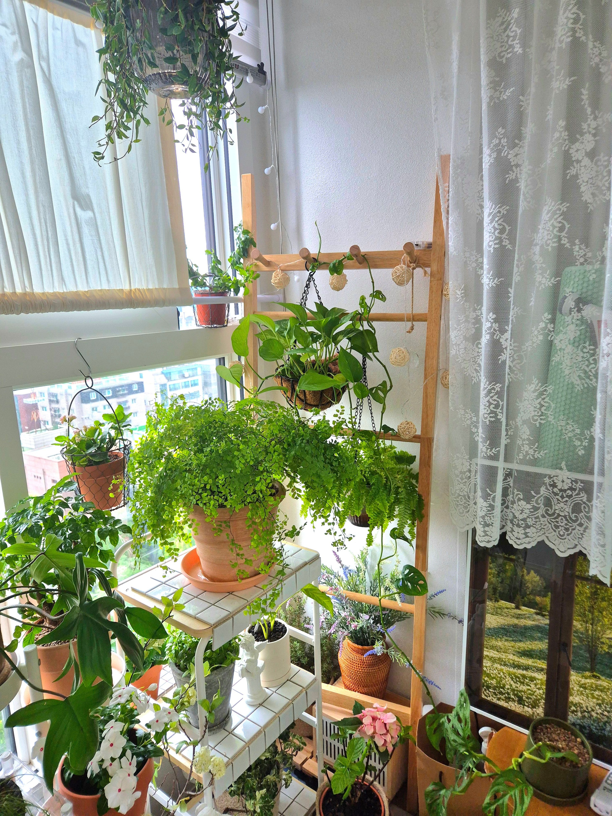 Solid Wood Ladder Clothes Rack Stand user photo