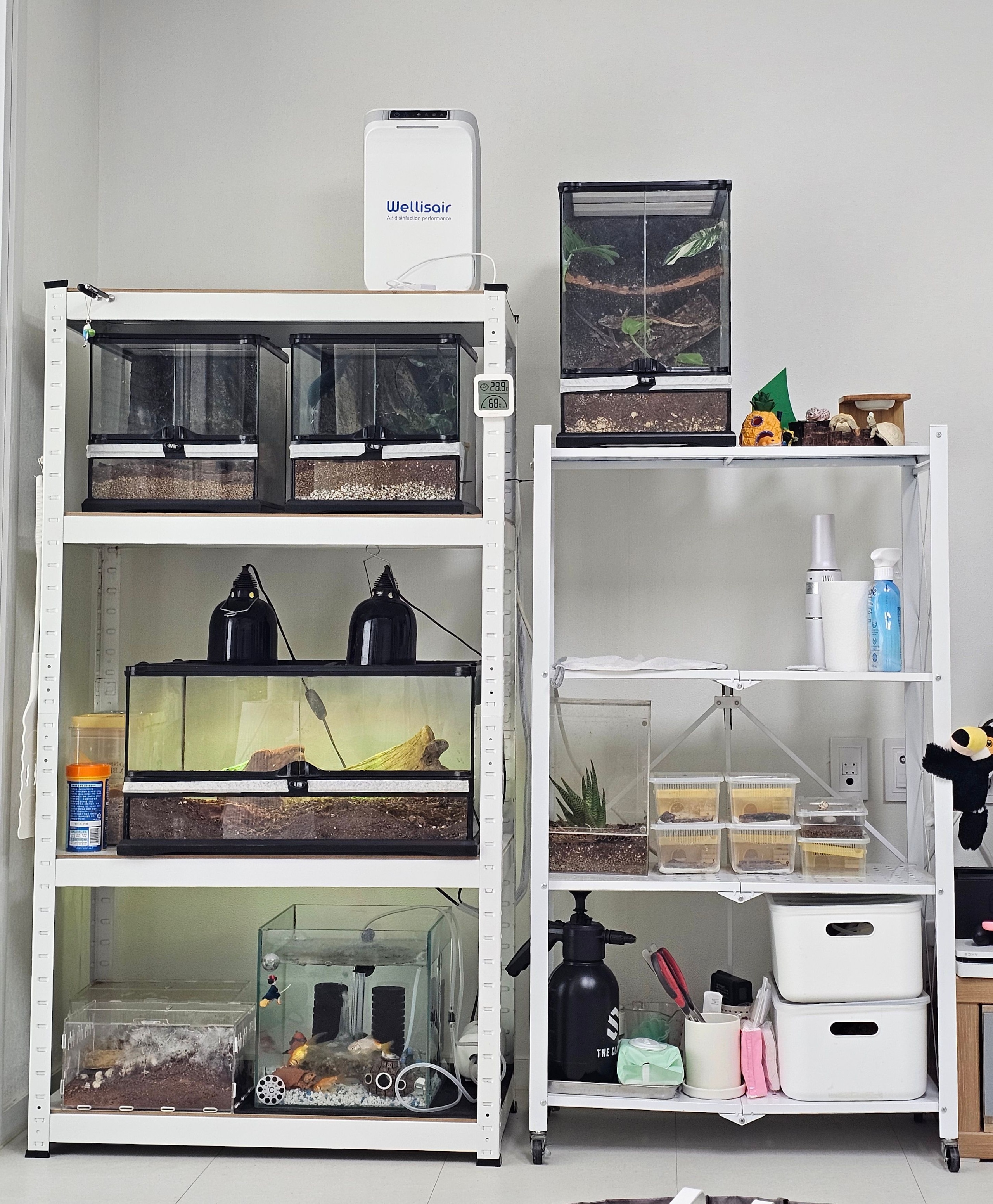 The Rolling Pantry Rack user photo