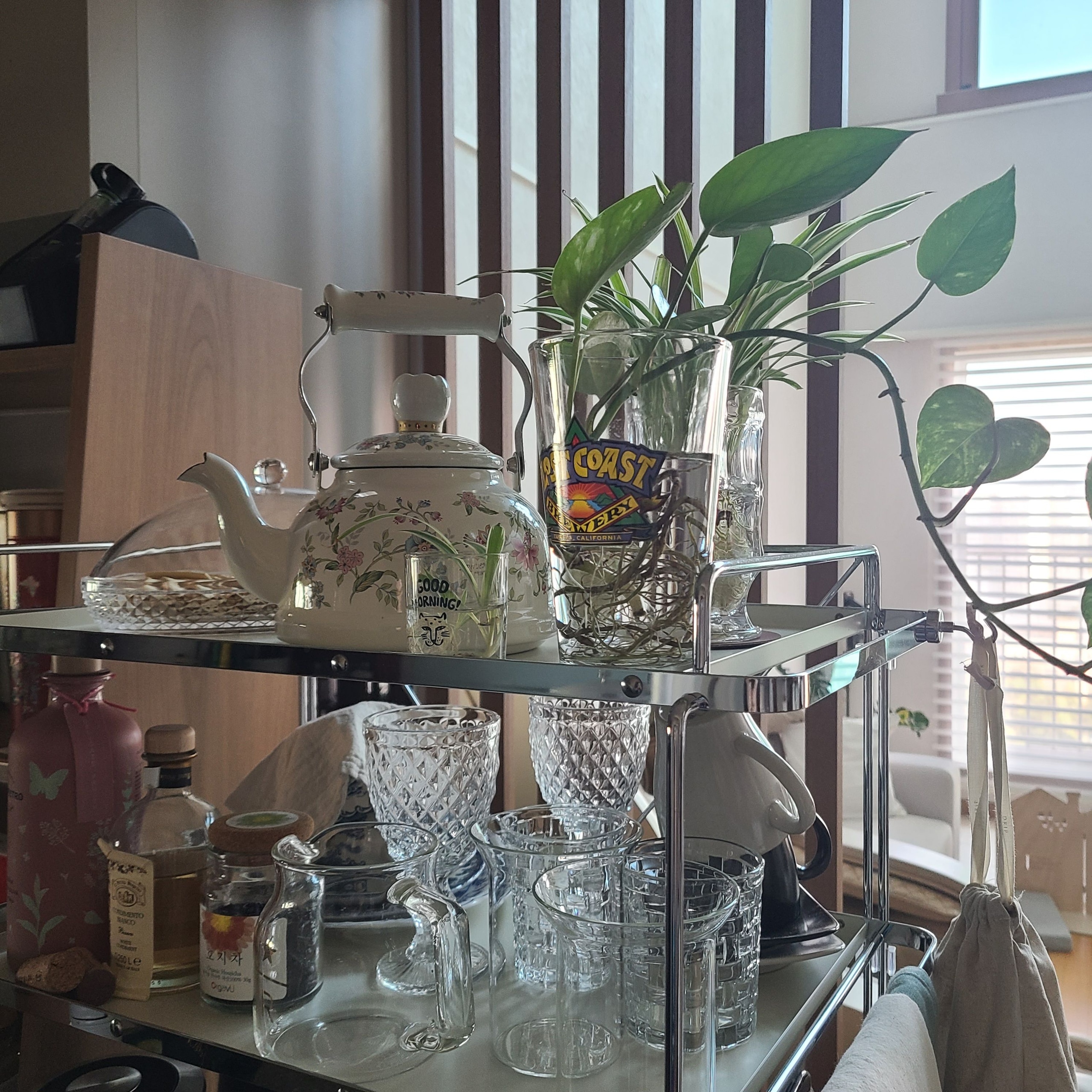 Y-Shaped Glass Cup (Set of 2) user photo