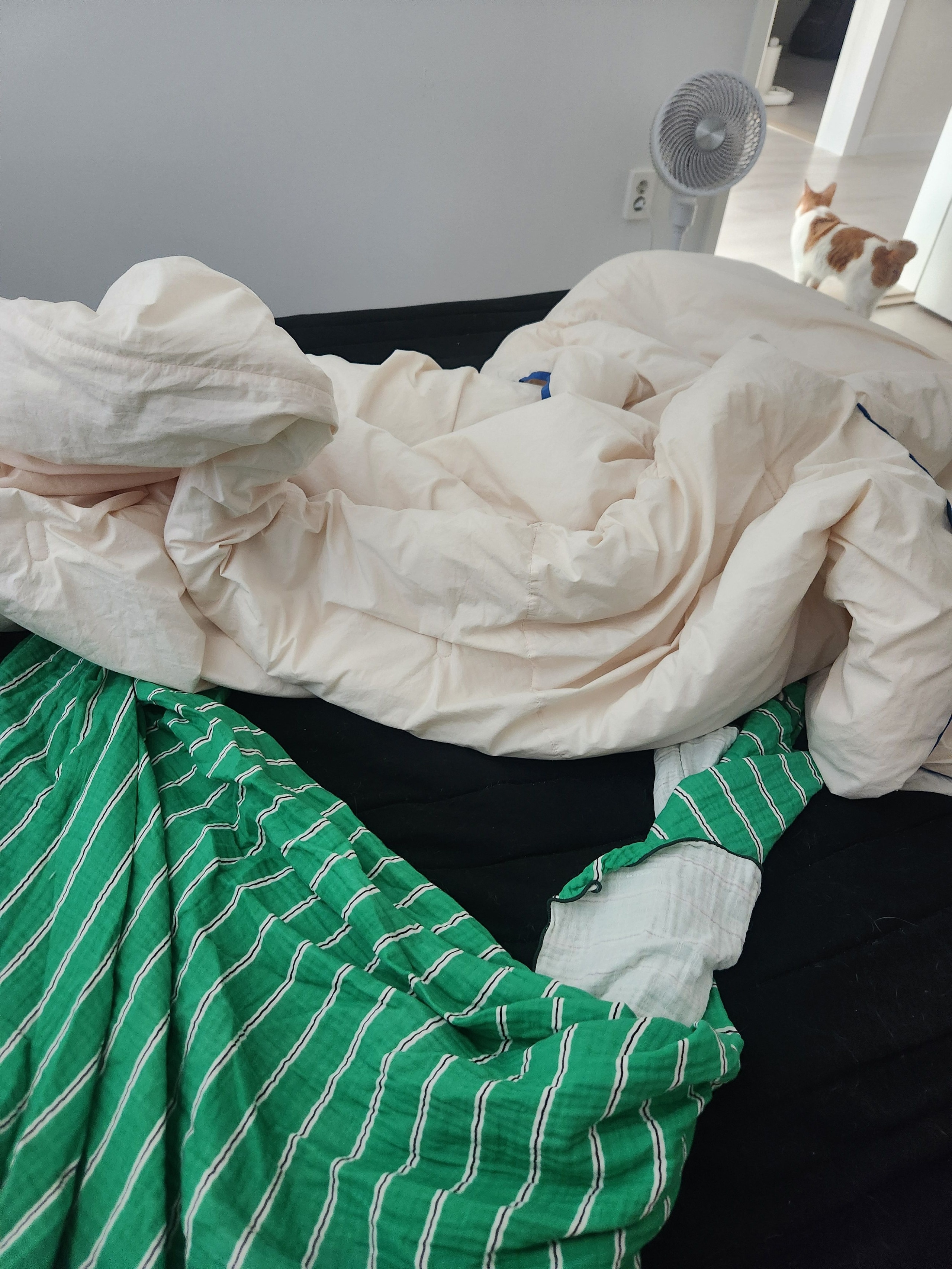 Neon Stripe 3-Layer Gauze Blanket user photo