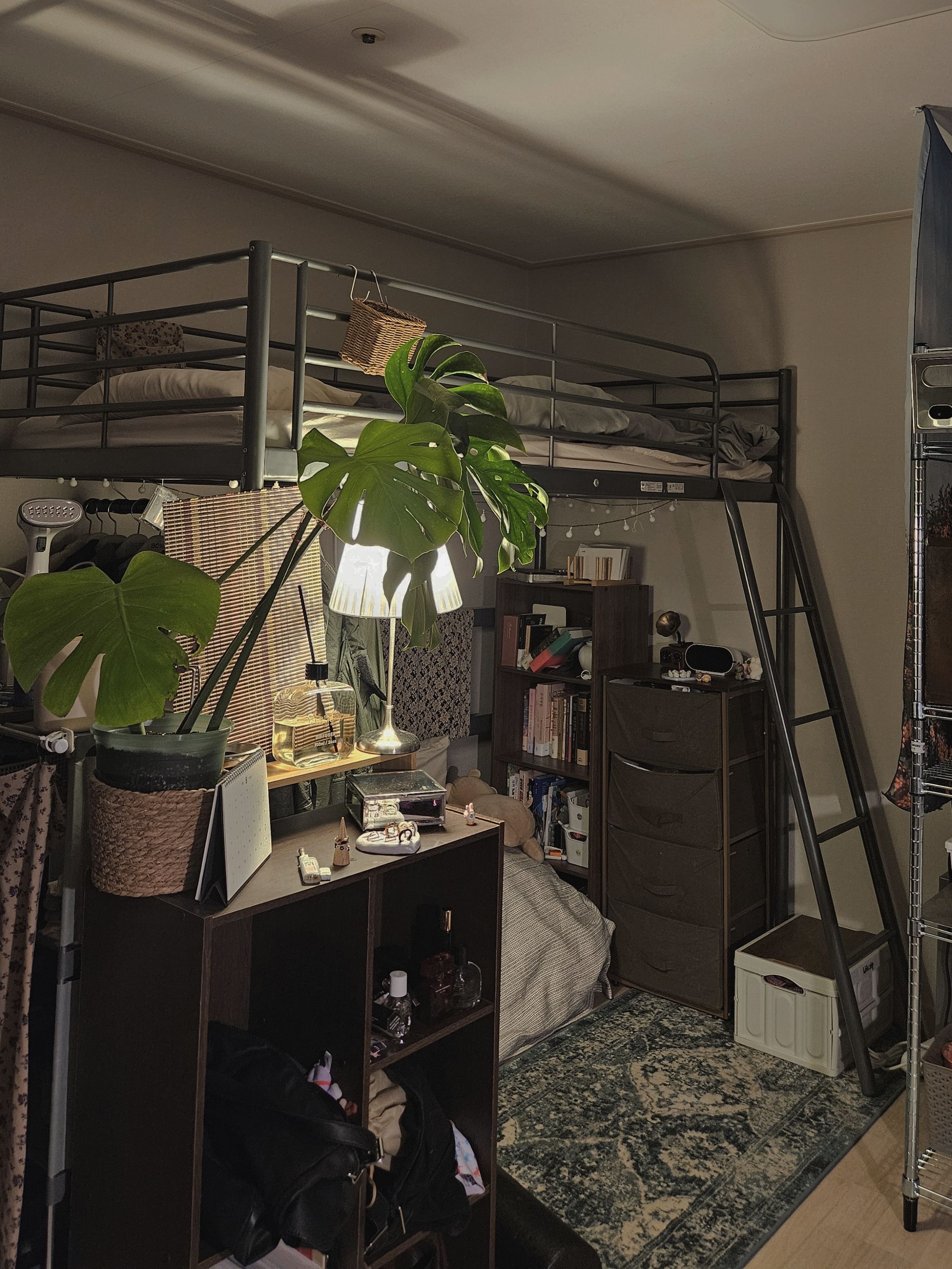 Modern Wood Bookcase & Storage Shelf user photo