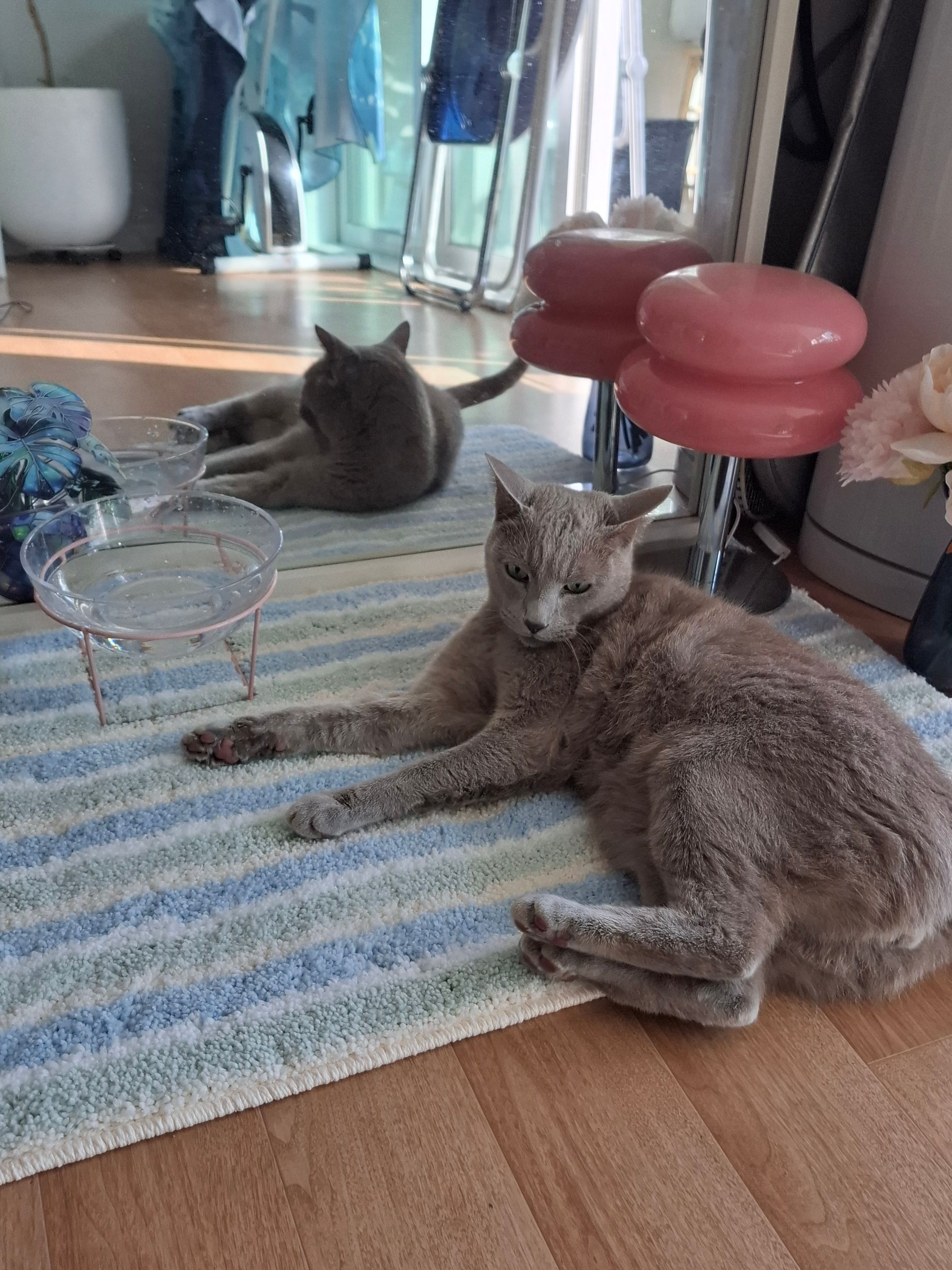 Apple Green Sherbet Tufted Rug user photo