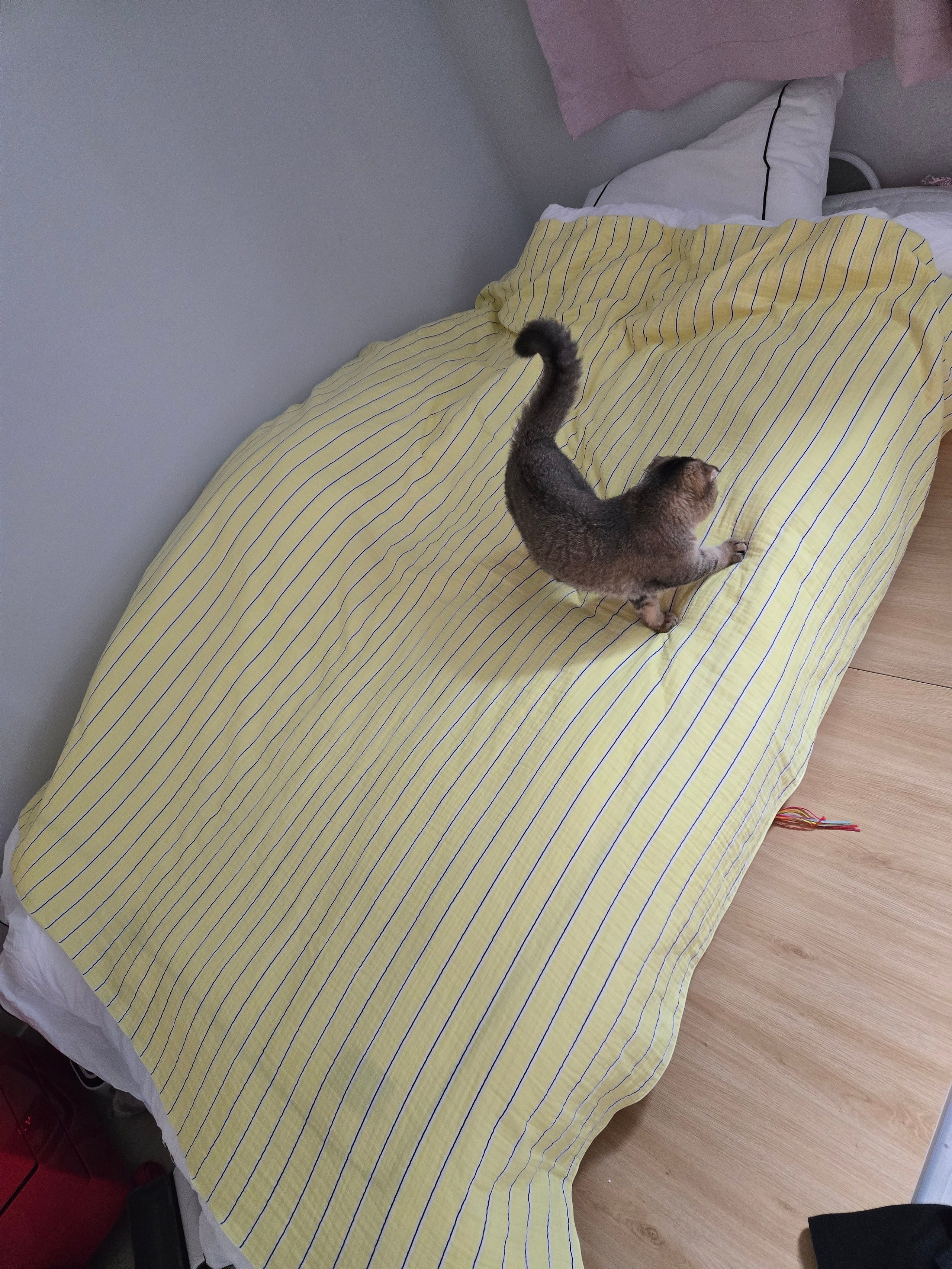 Neon Stripe 3-Layer Gauze Blanket user photo