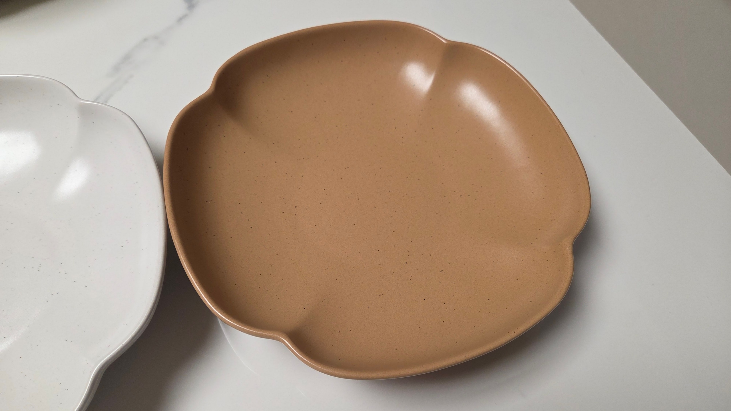Sunlit Shell Ceramic Pasta Bowl user photo
