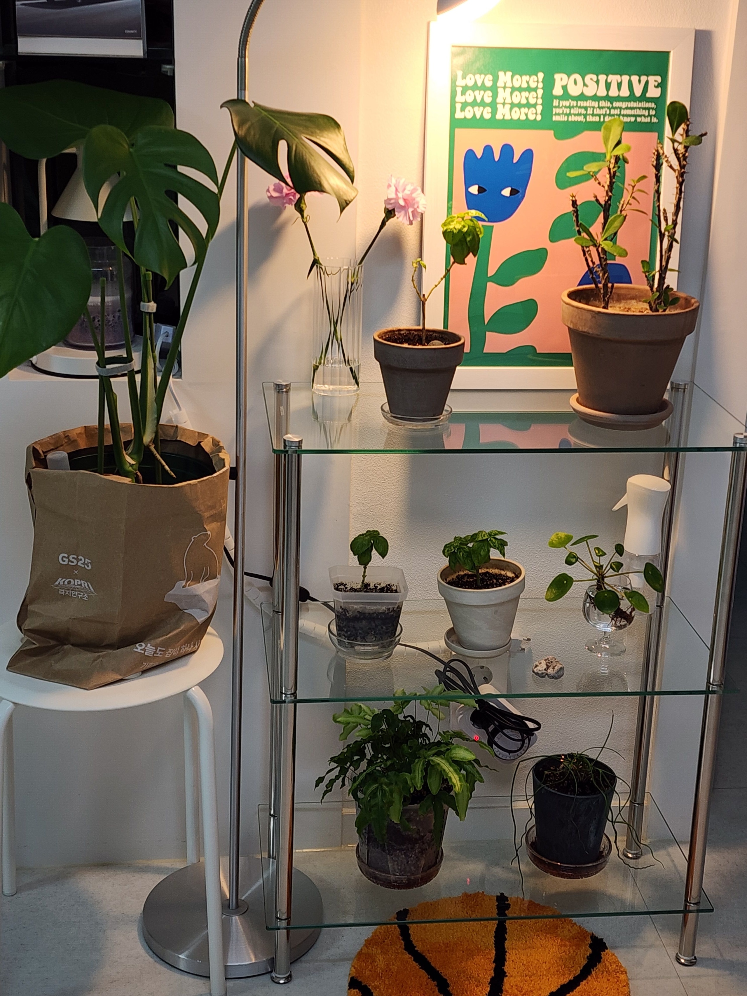 Mid-Century Modular Glass Shelf user photo