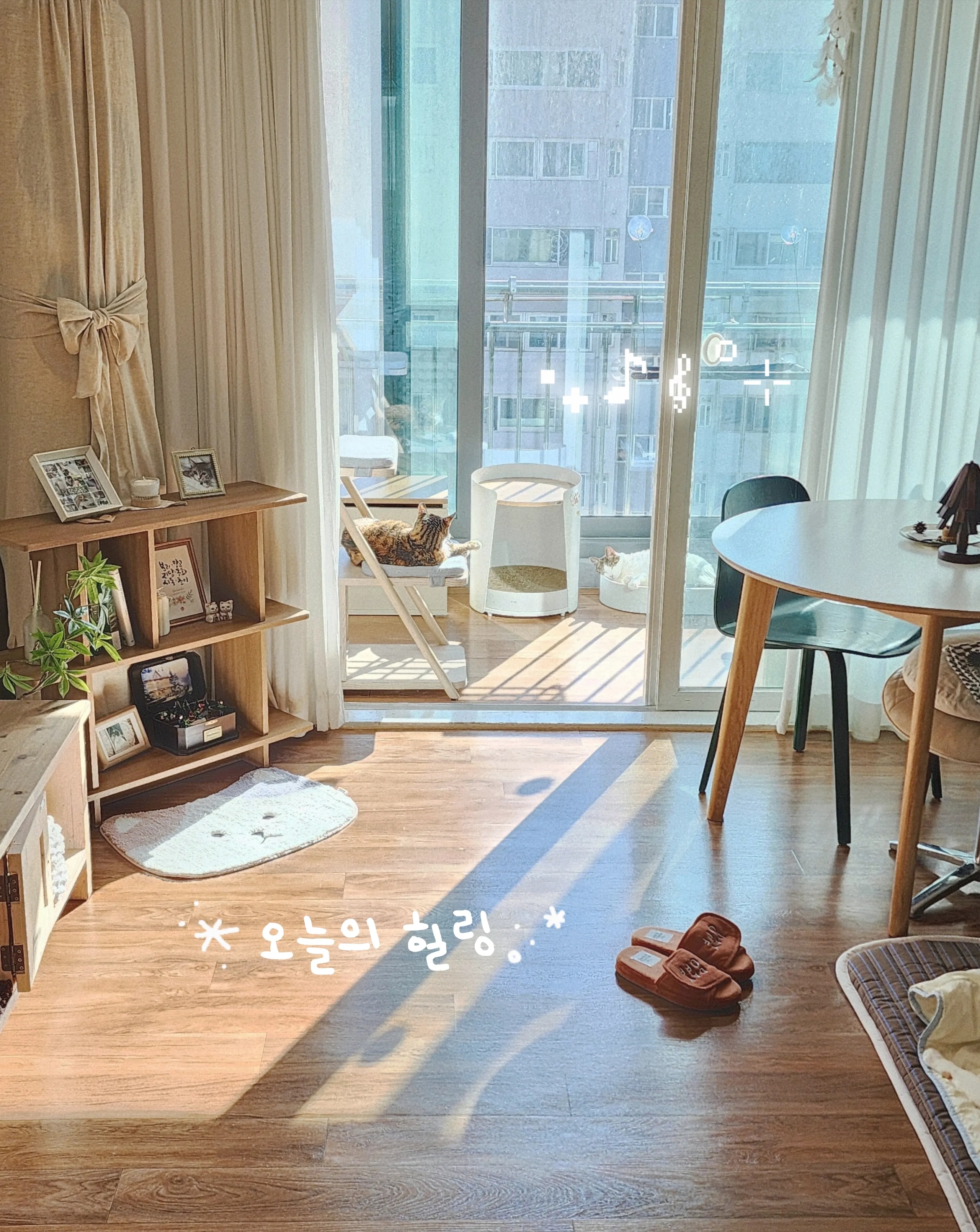 Terry Velcro Memory Foam Cloud Comfort Slippers user photo