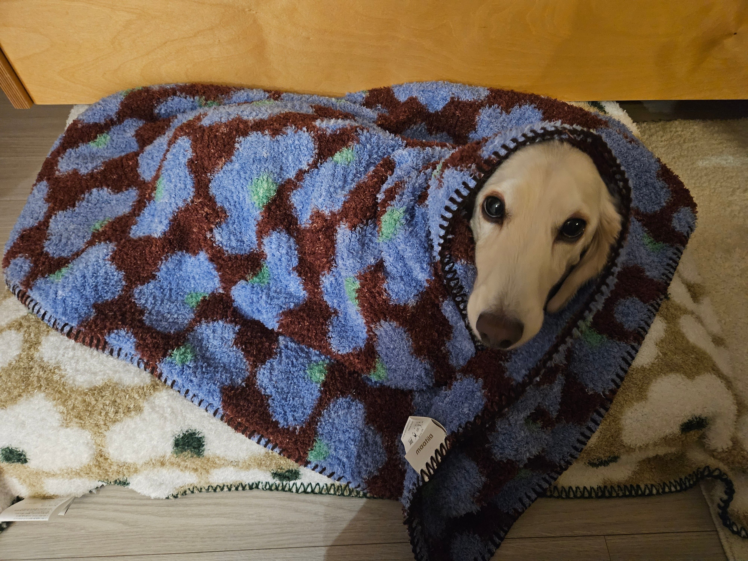 Fluffy Long-Pile Knit Comfort Blanket user photo