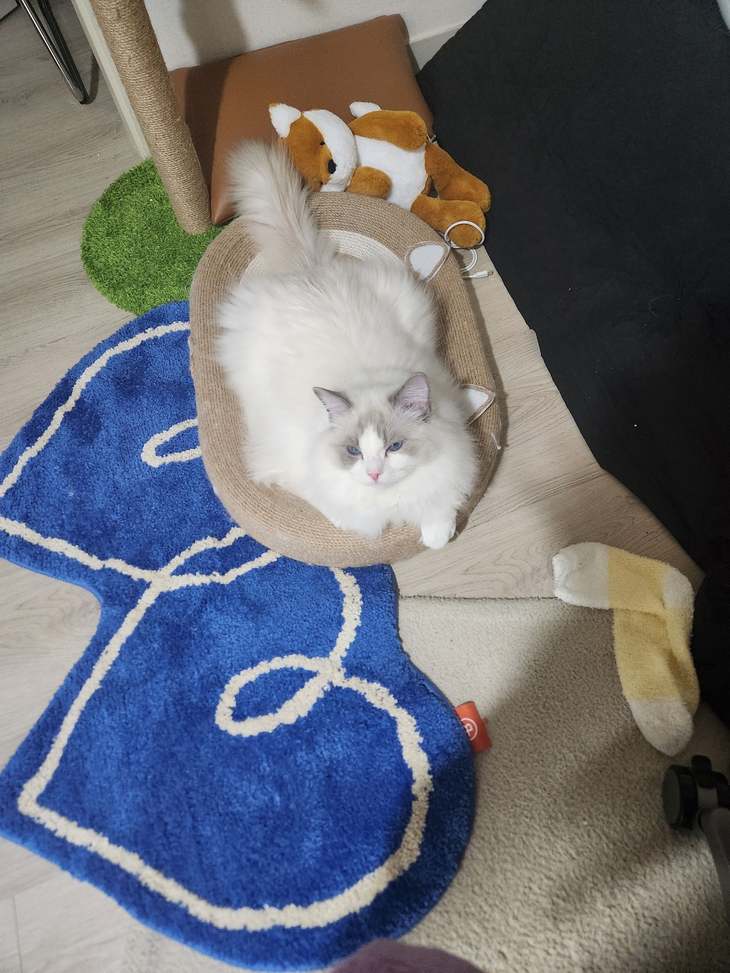 BWTZ Double Heart Accent Rug user photo