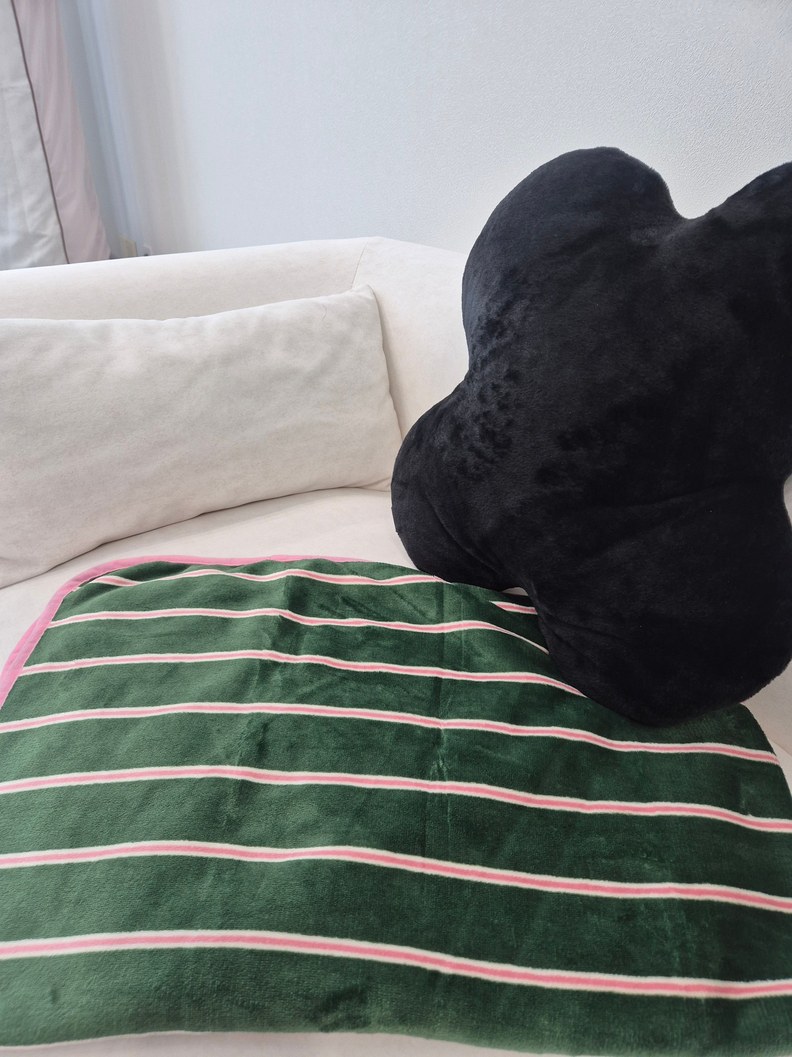 Creamy Plush Microfiber Blanket user photo