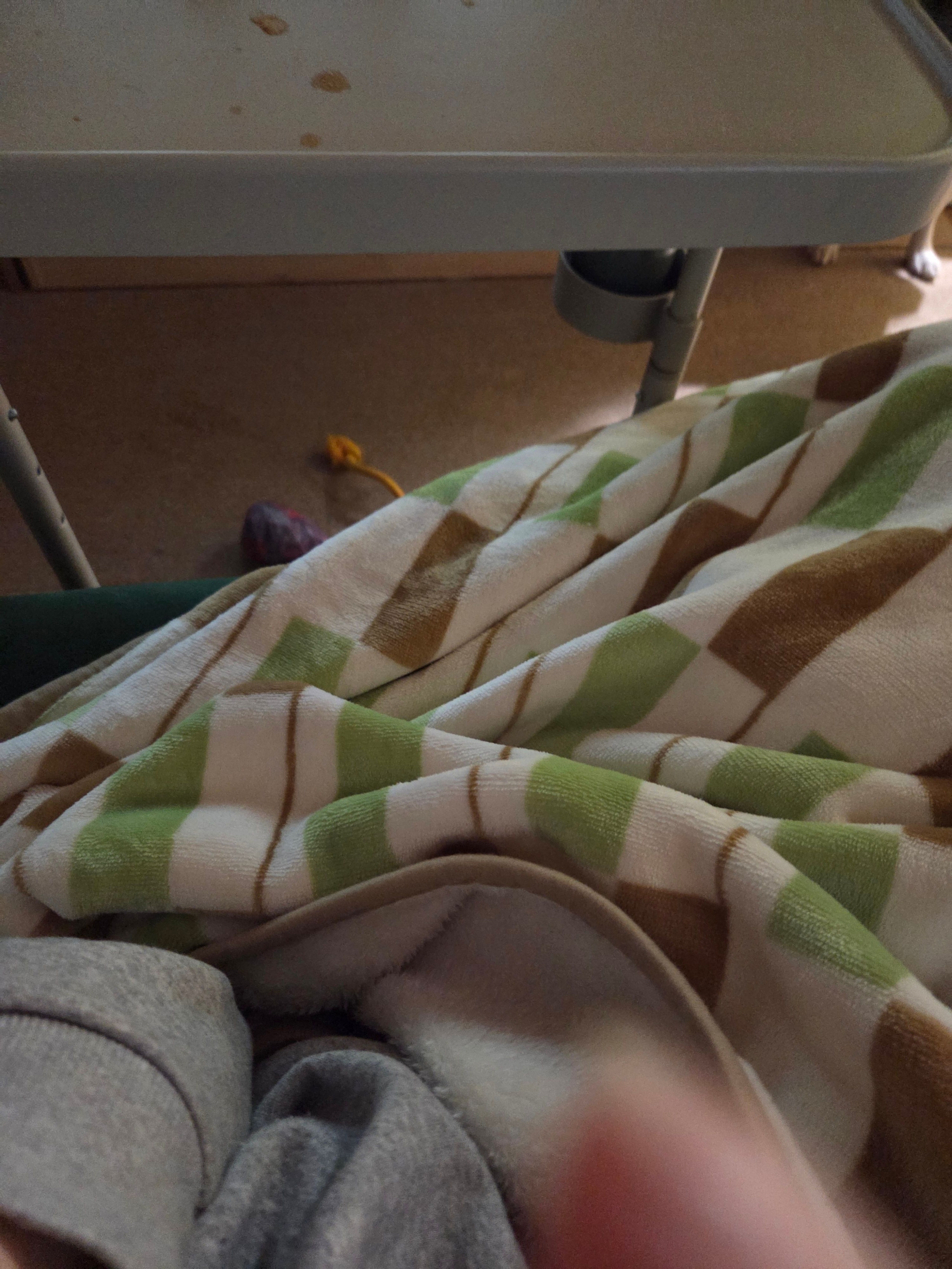 Creamy Plush Microfiber Blanket user photo