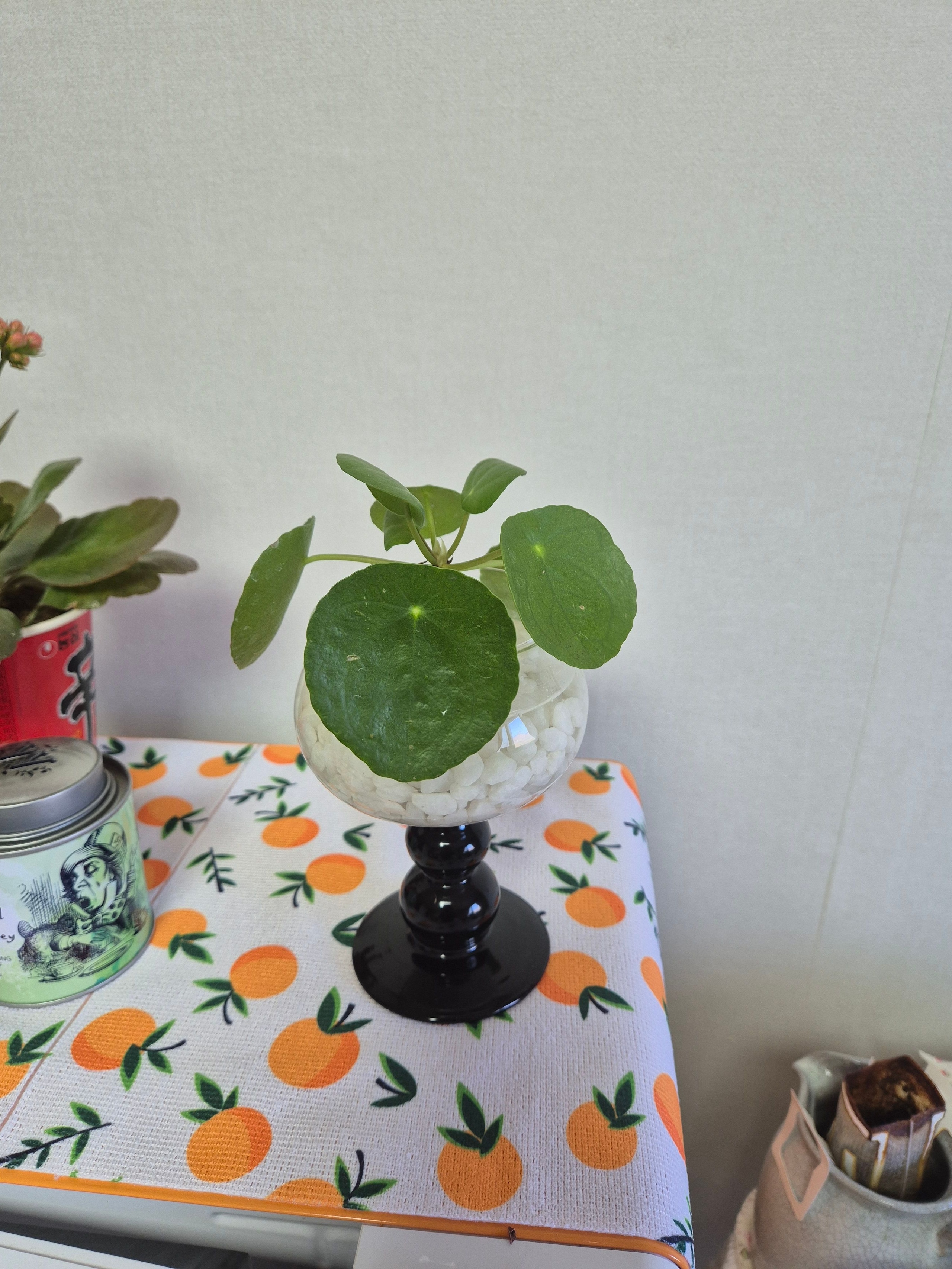 Rove Black Stem Wine Glass user photo