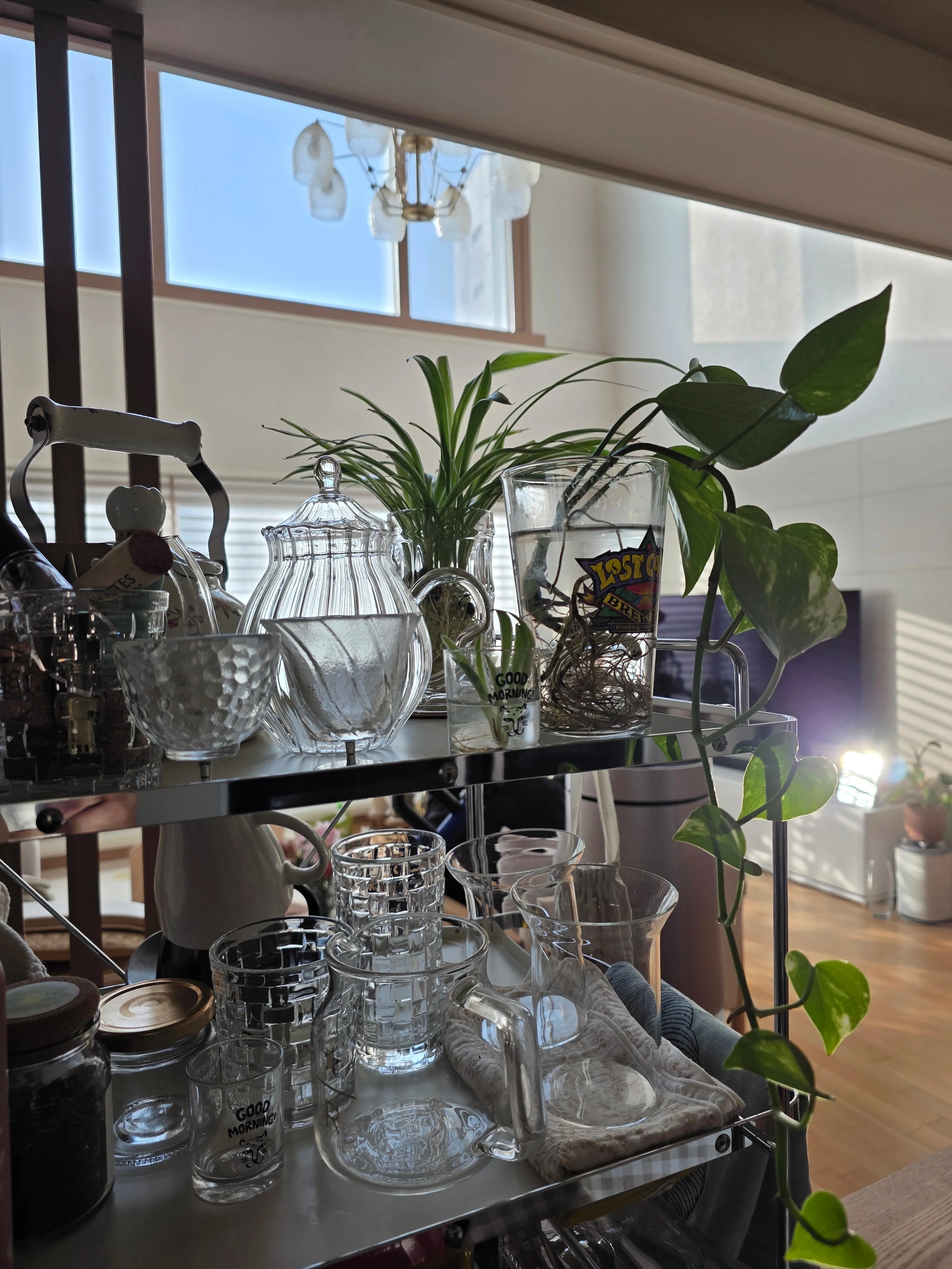 Y-Shaped Glass Cup (Set of 2) user photo