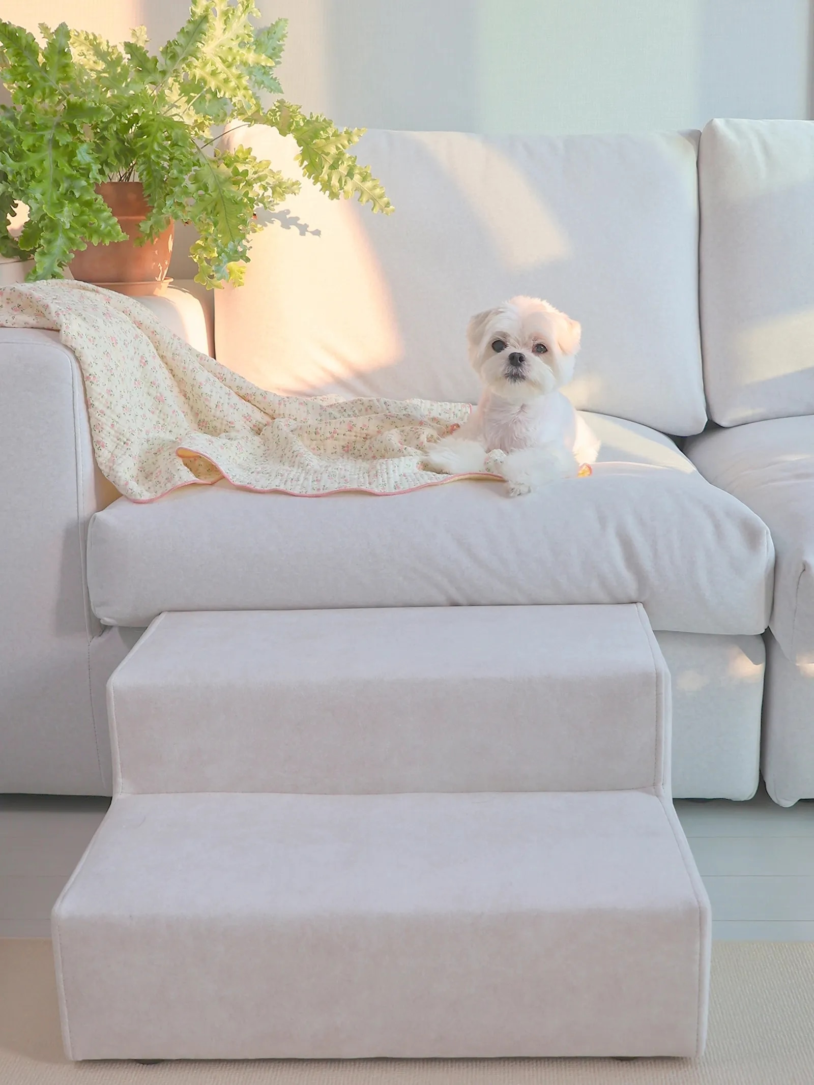 Small Floral Check 4-Layer Gauze Blanket user photo