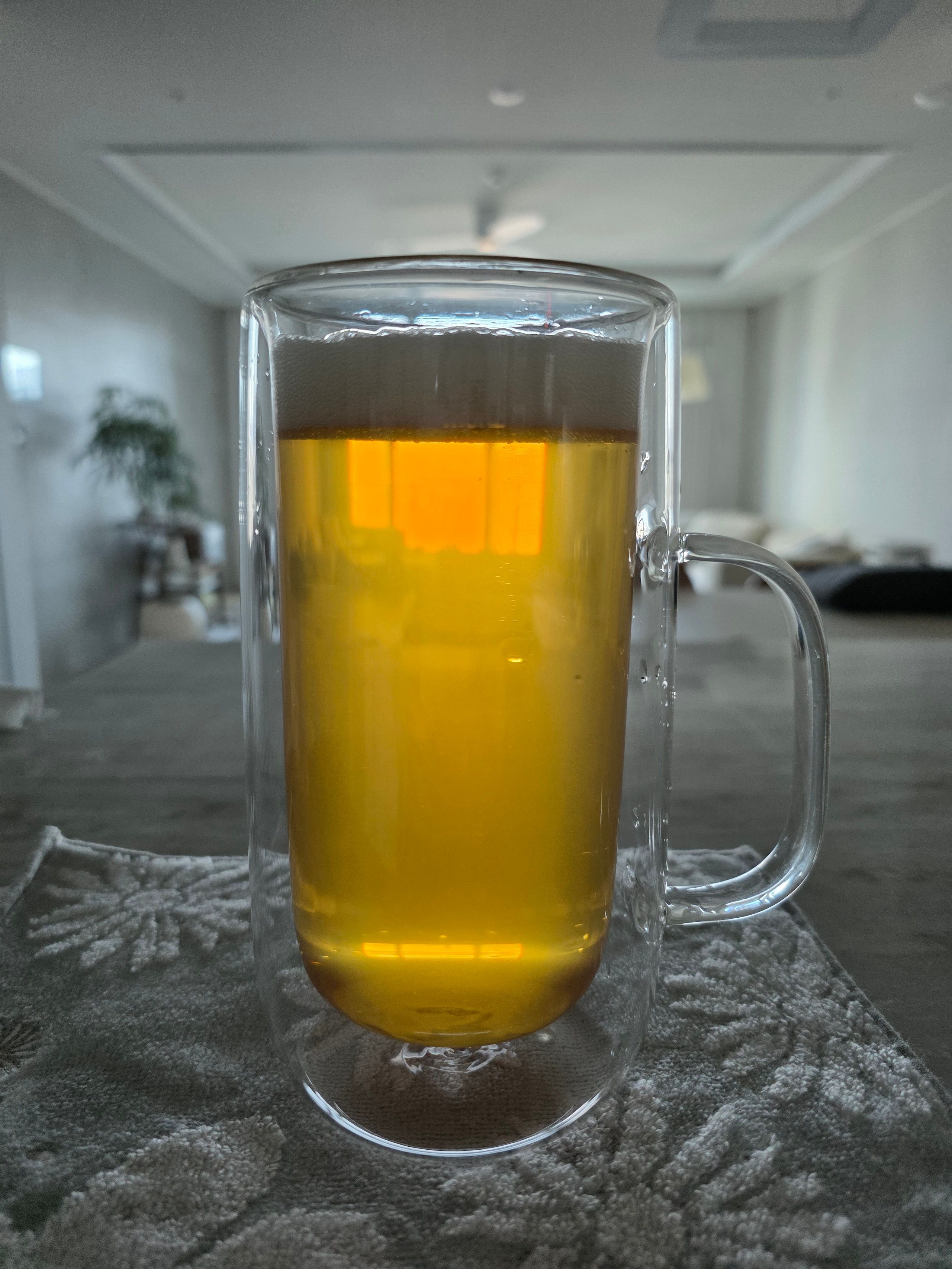 Insulated Double Wall Glass Mug (Set of 2) user photo
