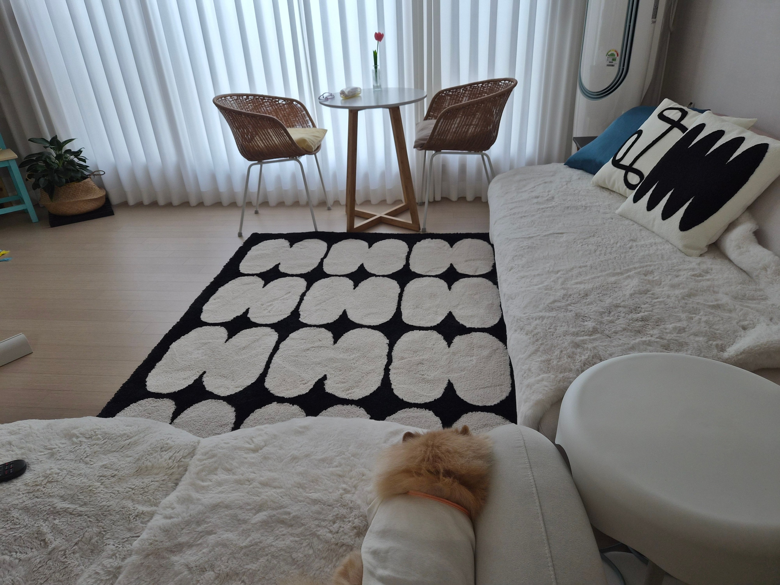 BWTZ Plush Long-Pile Jacquard Area Rug user photo