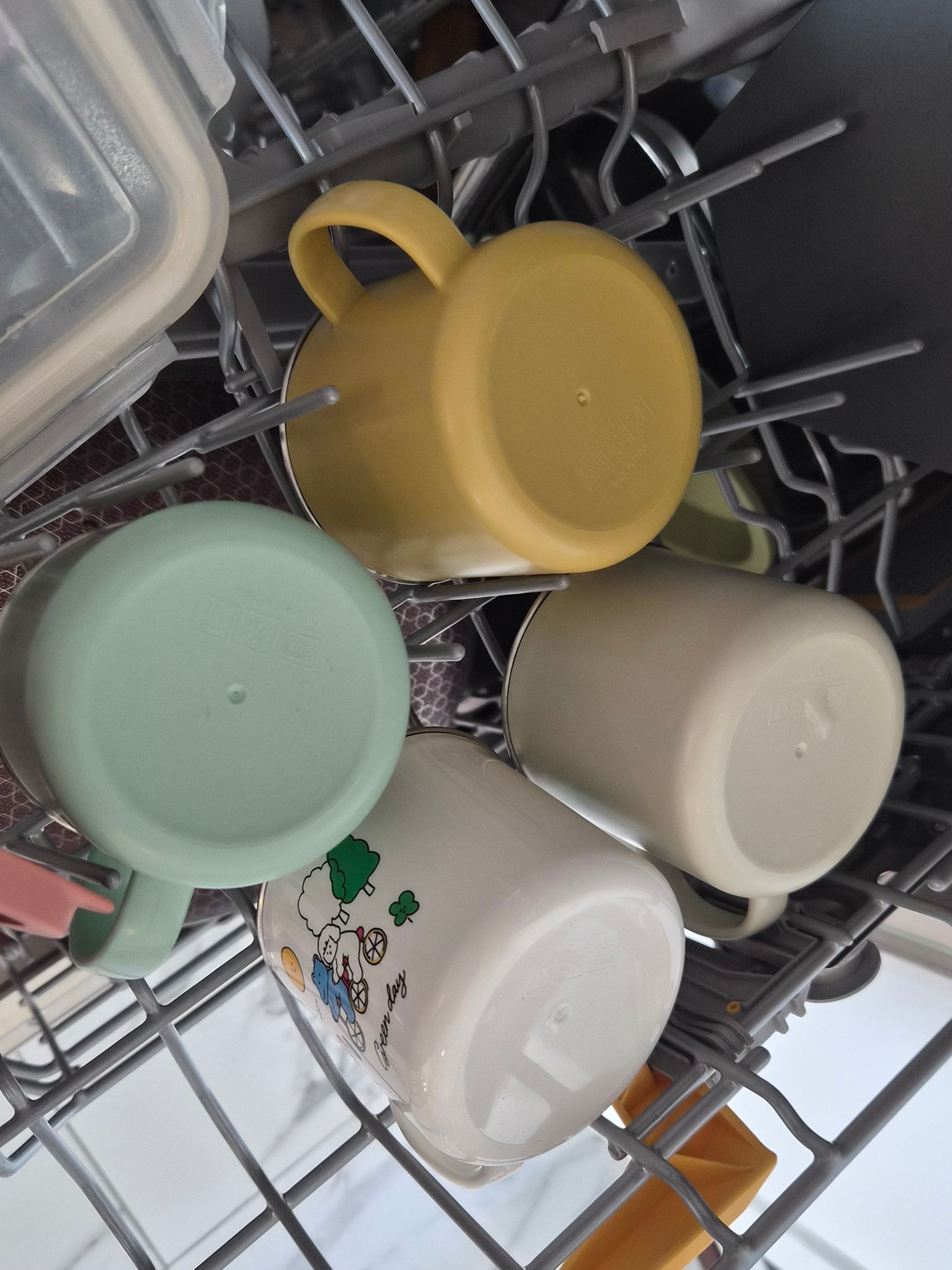 Pastel Insulated Stainless Steel Mug (Set of 4) user photo