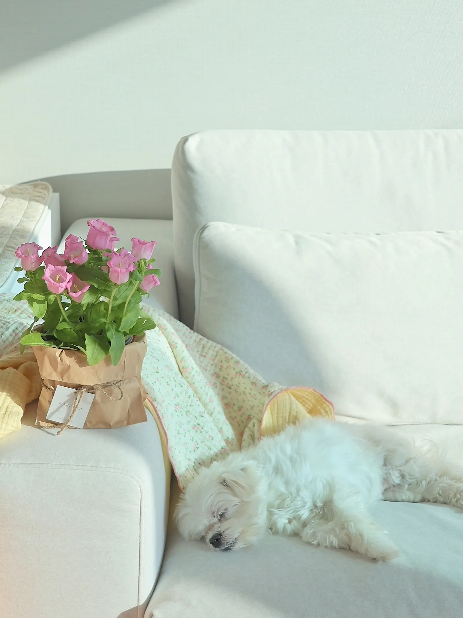Small Floral Check 4-Layer Gauze Blanket user photo