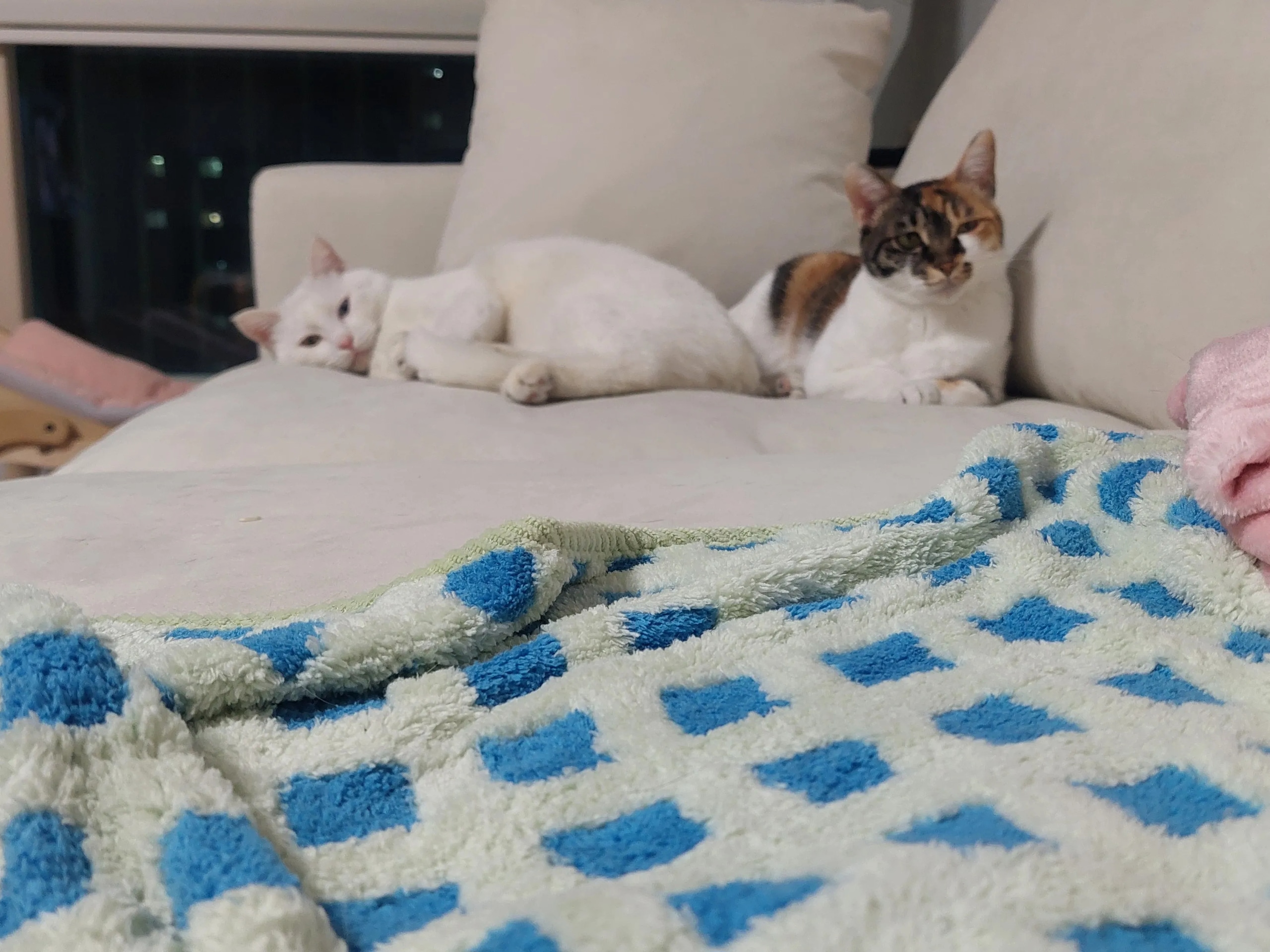 Oz Double-Sided Microfiber Blanket user photo