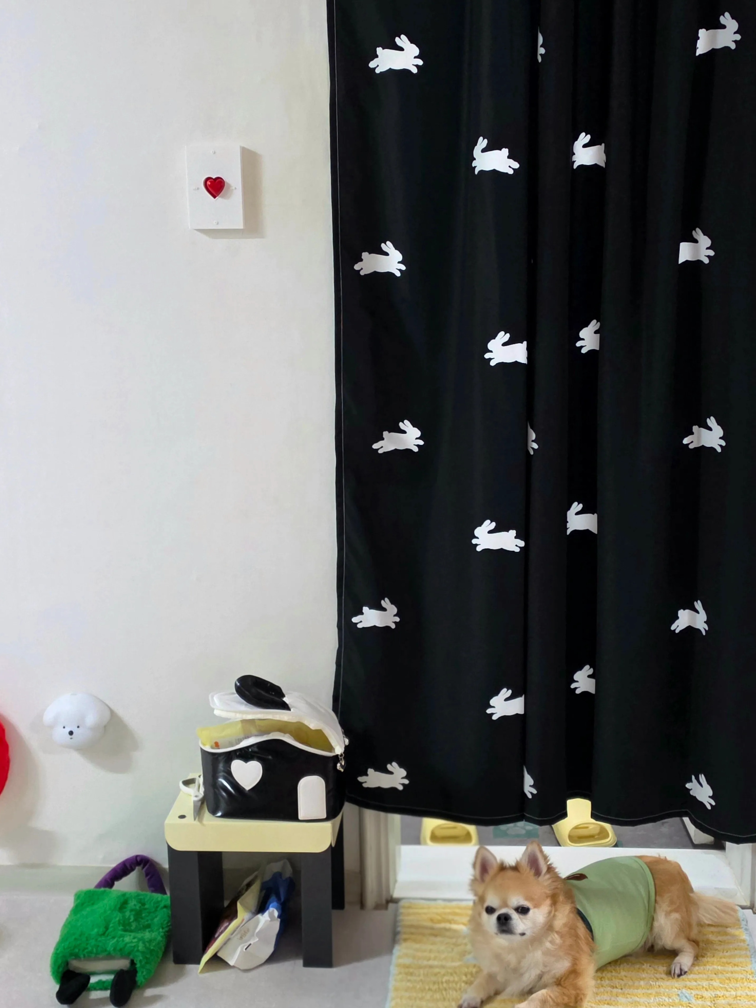 Puppy Motion Sensor Mood Light user photo