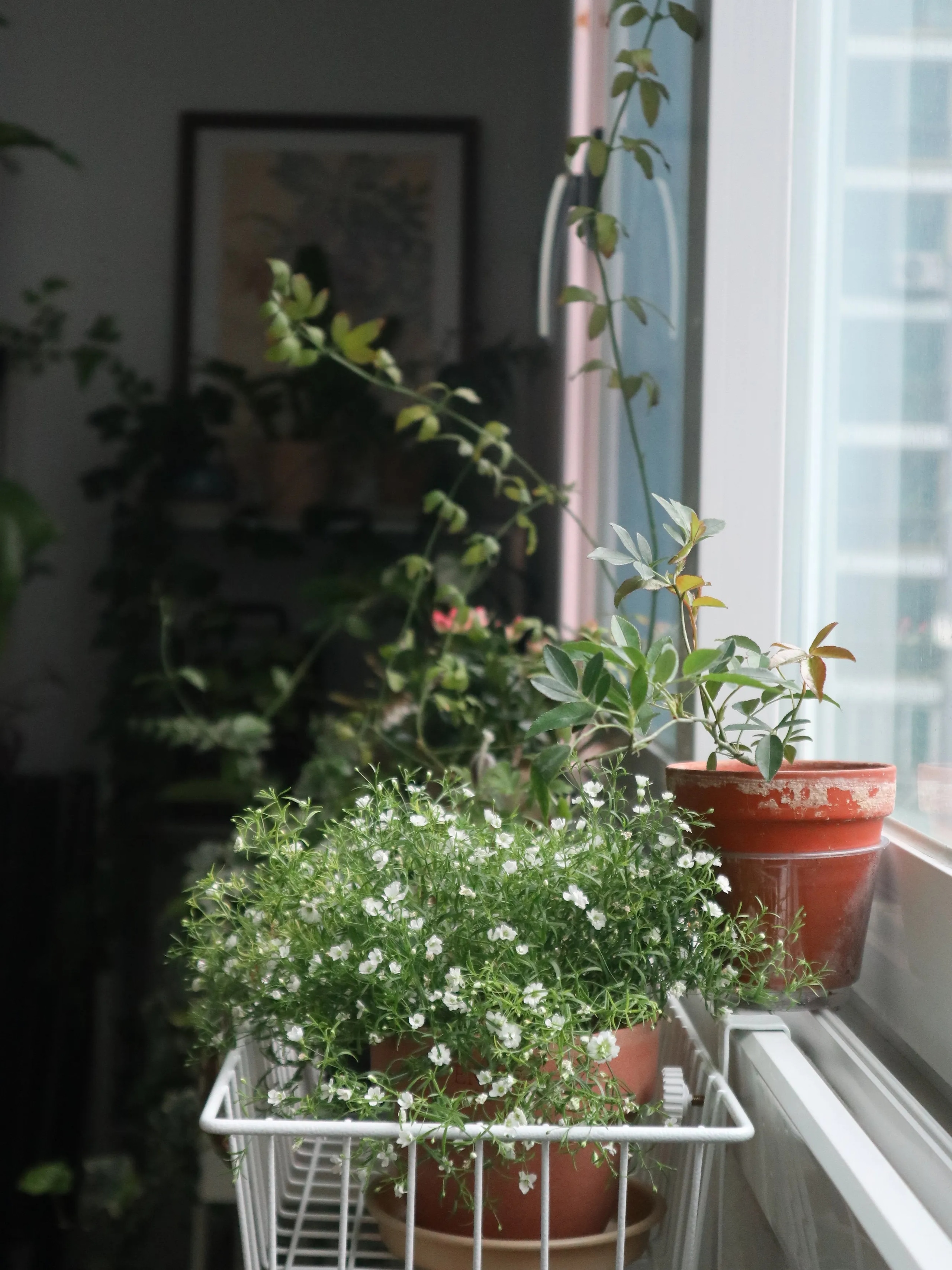The Rolling Pantry Rack user photo