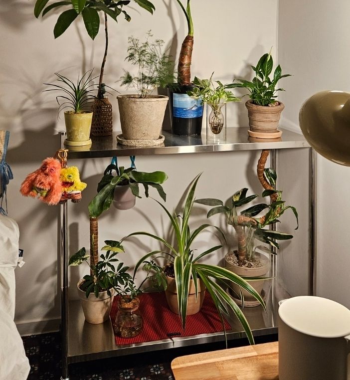 Stainless Steel Storage Shelf user photo