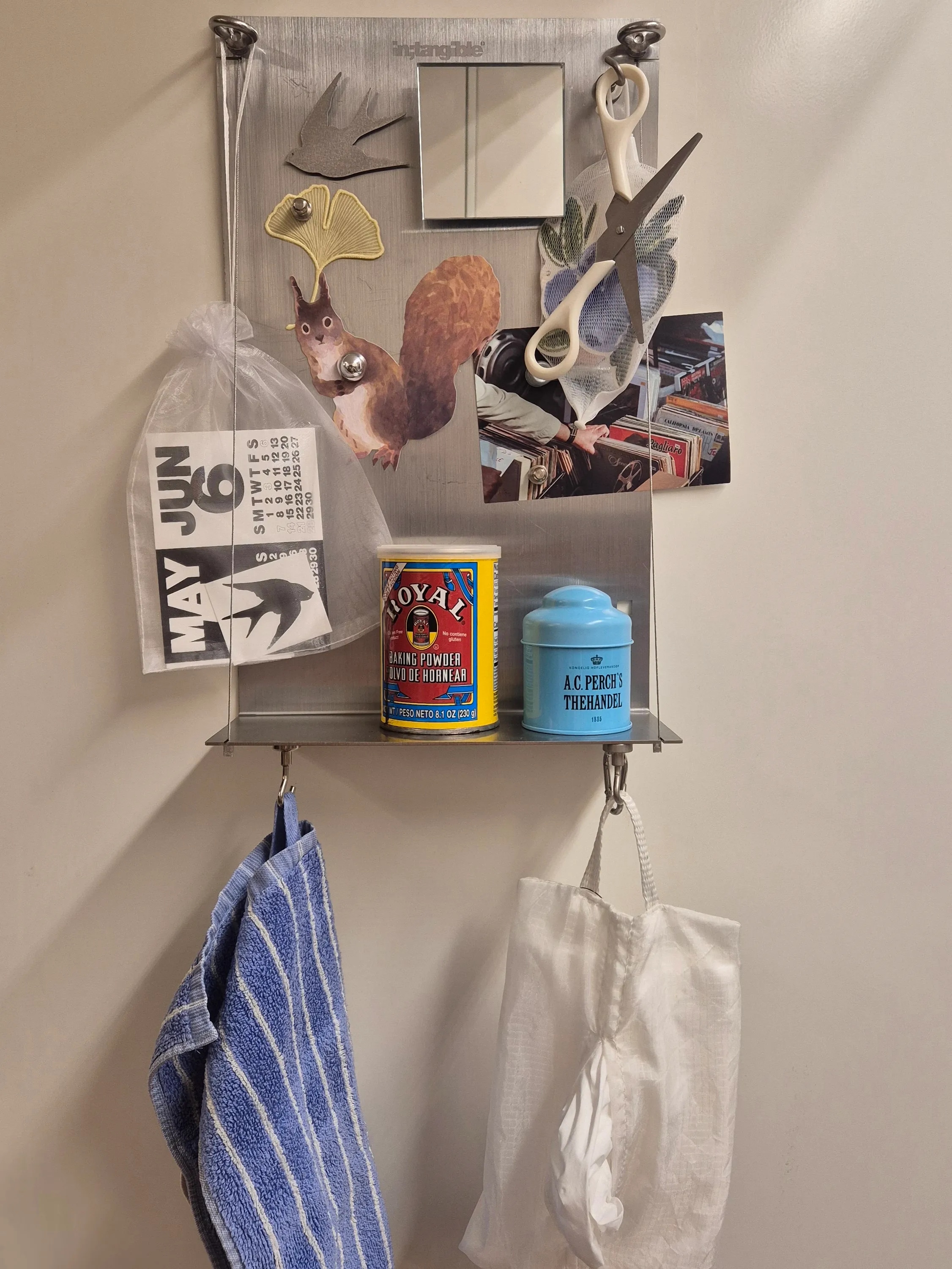 Magnetic Stainless Steel Wall Organizer user photo