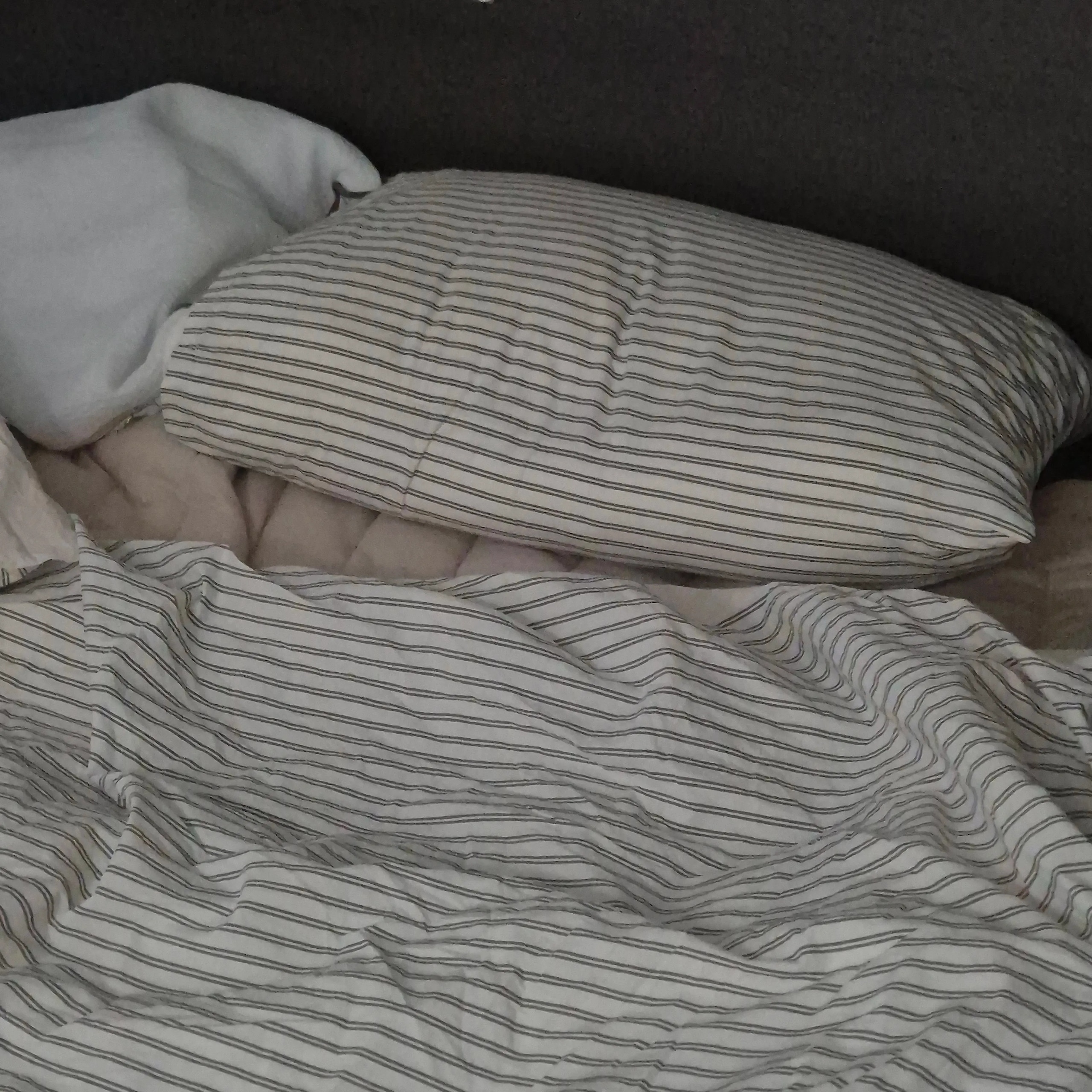 Brown Stripe Reversible Duvet Cover user photo