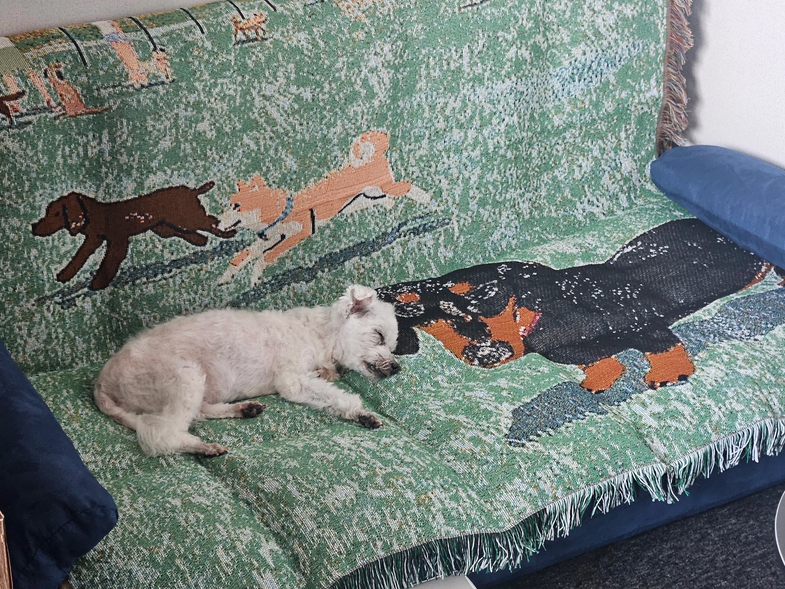 Tapestry Blanket Rug user photo