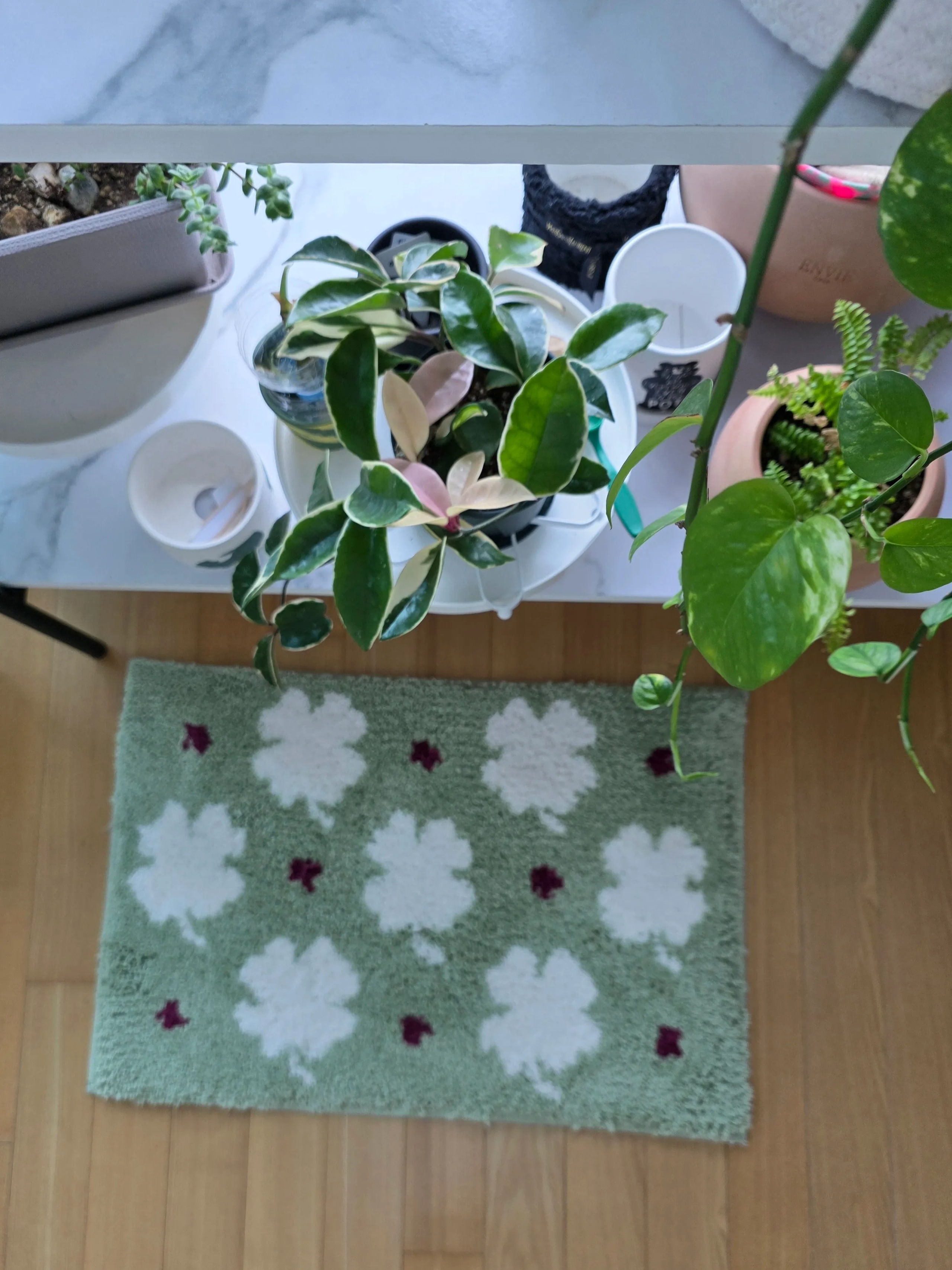 Clover Olive Accent Rug user photo