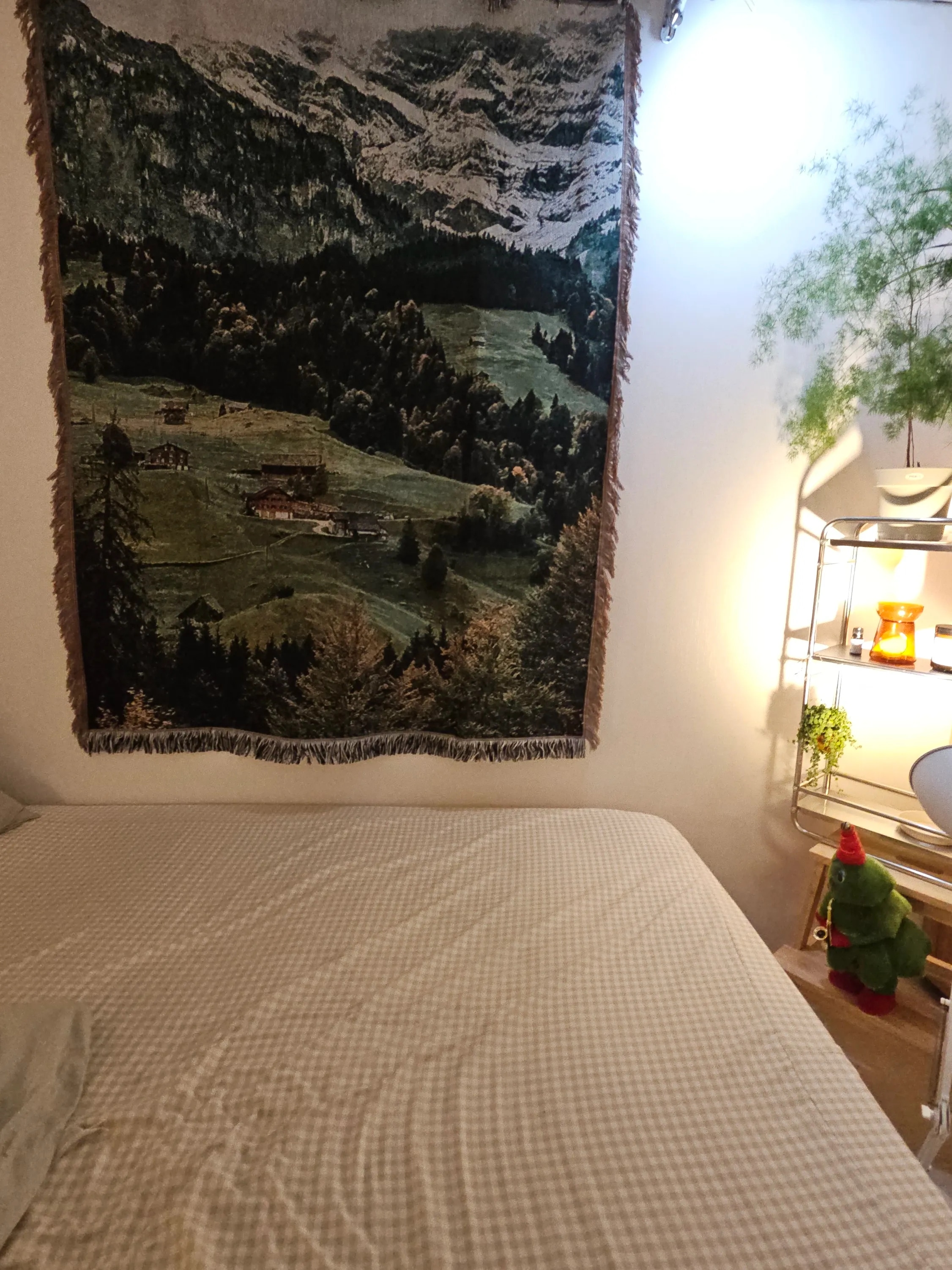 Tapestry Blanket Rug user photo