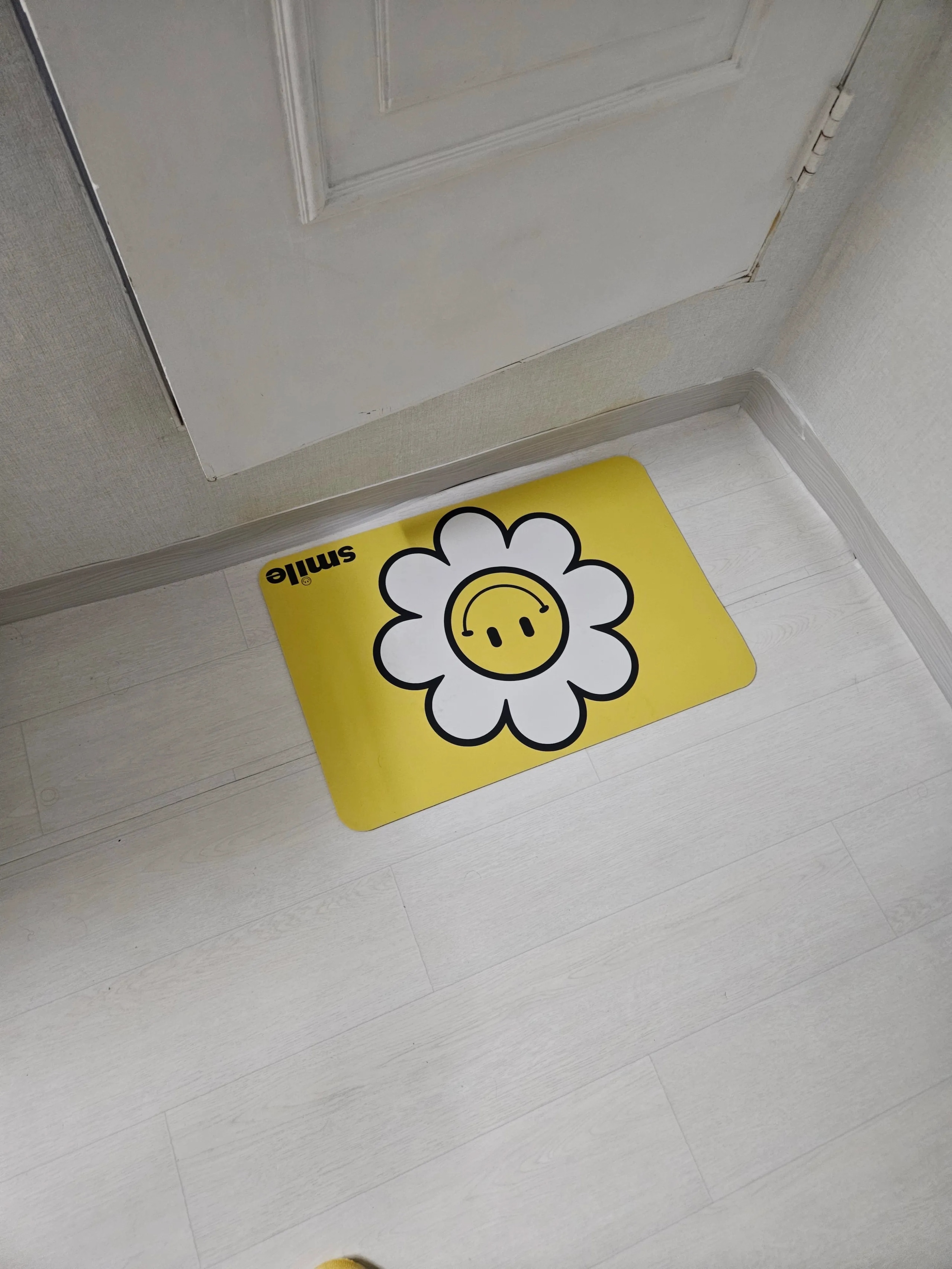 Daisy Washable Diatomite Bath Mat user photo