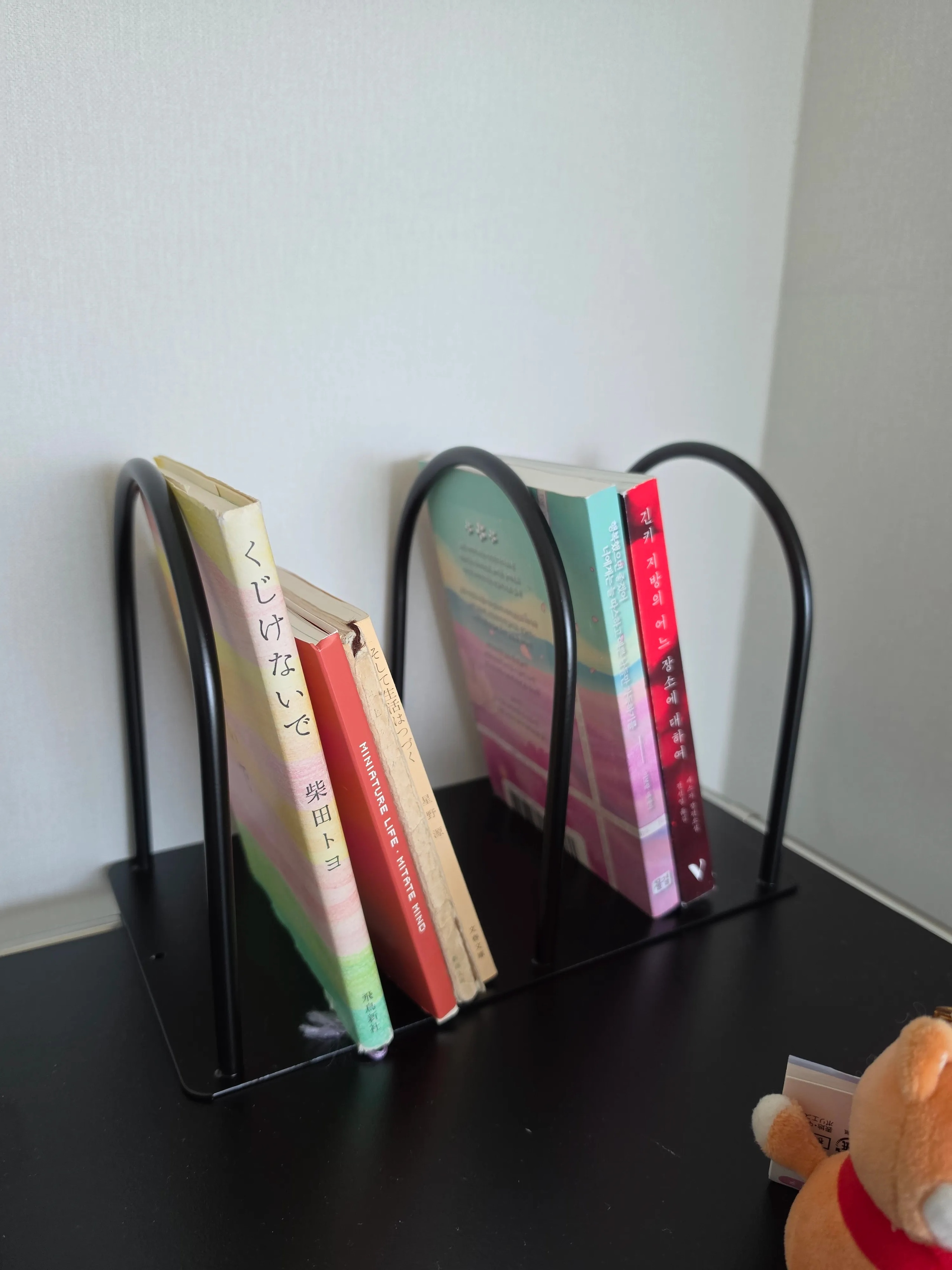 U-Steel Metal Bookend Organizer user photo