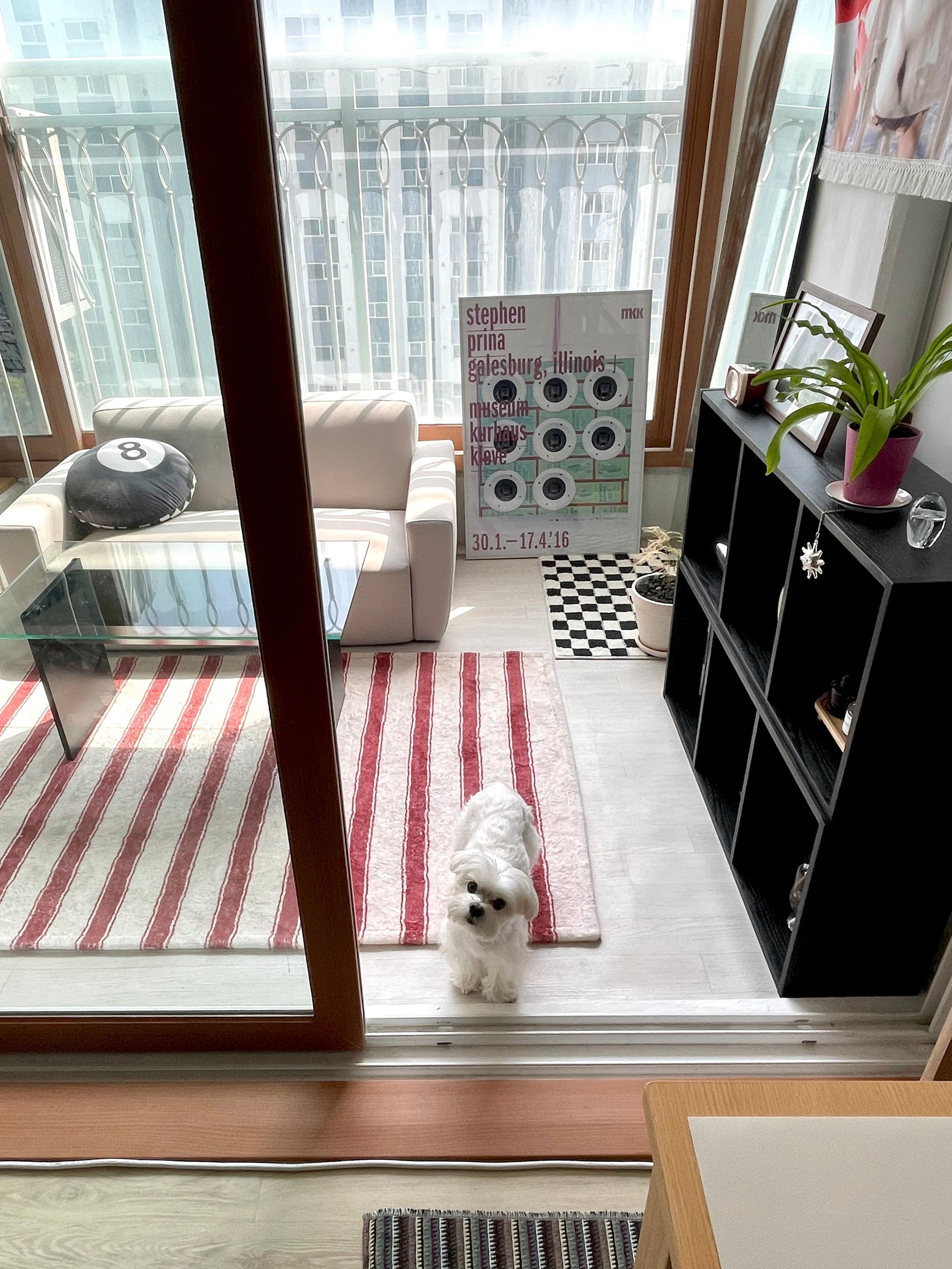 Red Stripe Pattern Rug user photo