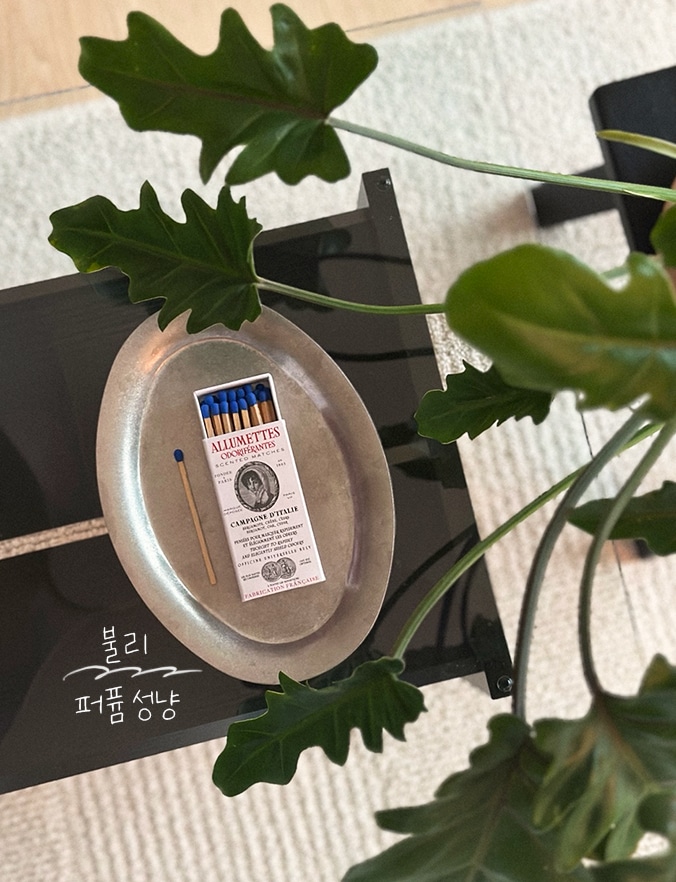 Stainless Steel Oval Tray user photo