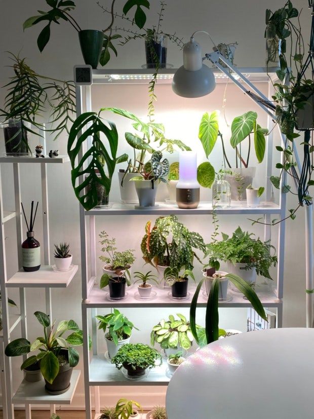 The Rolling Pantry Rack user photo