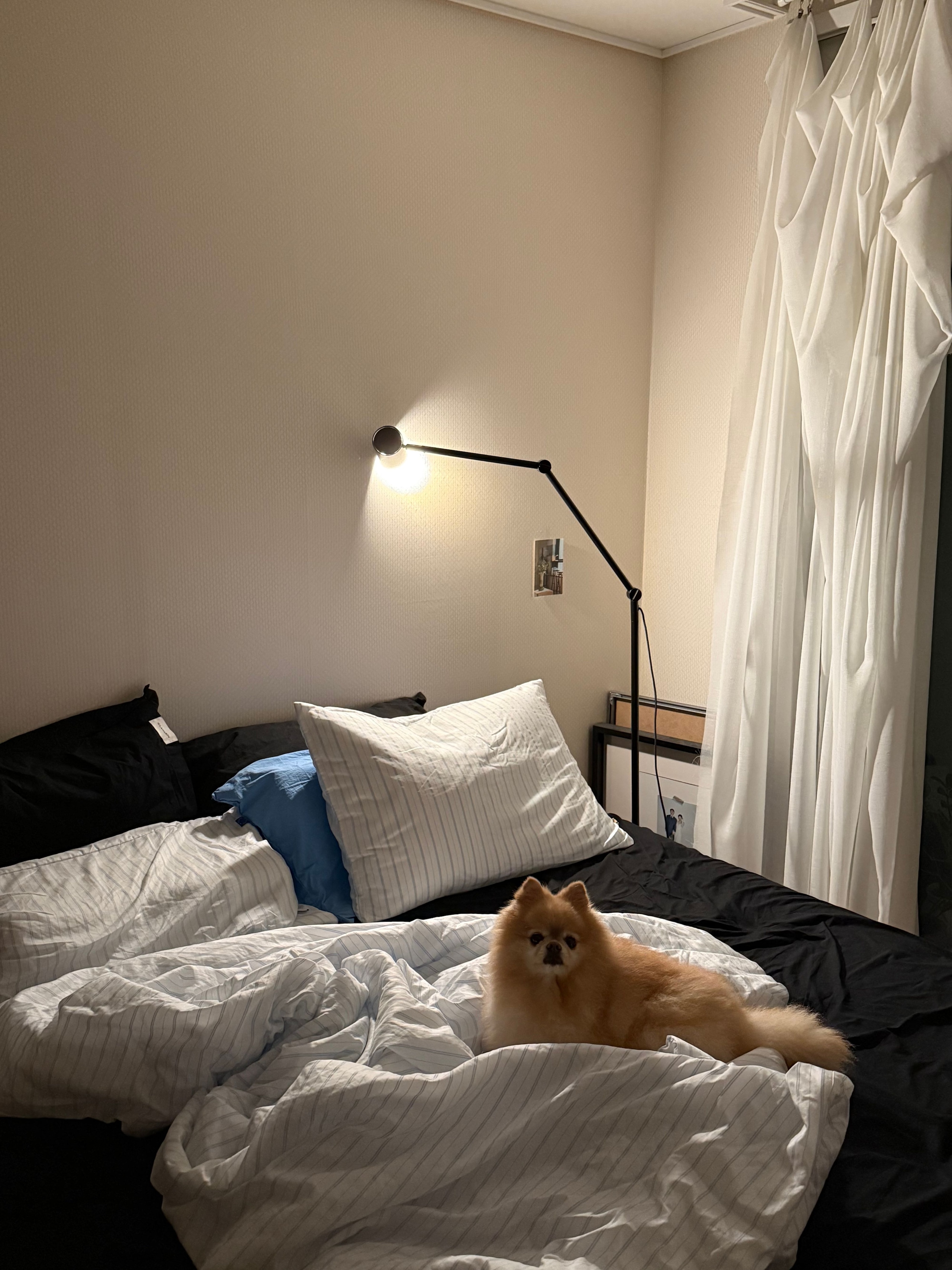 Bonne Nuit High-Density Mattress Fitted Sheet user photo