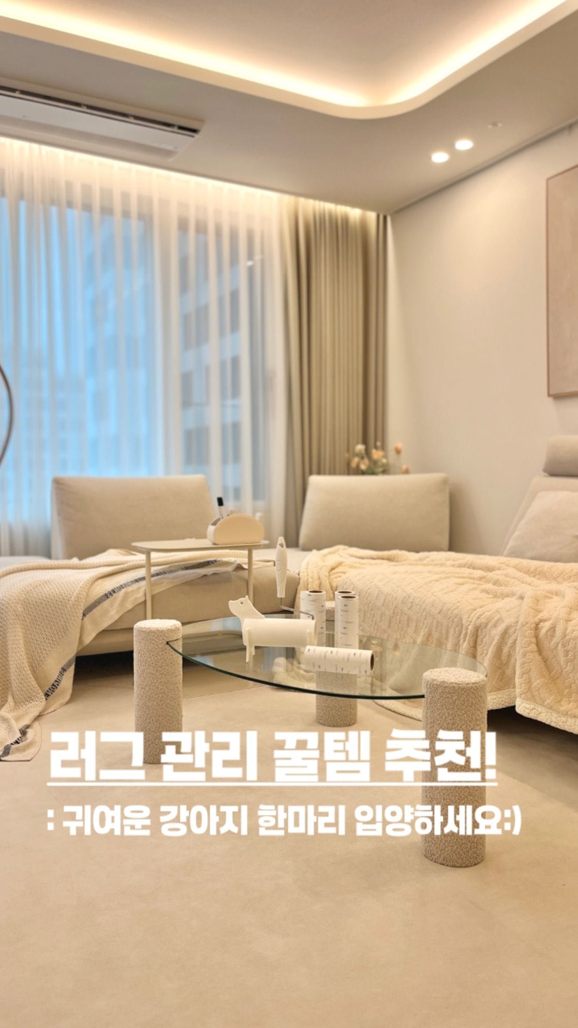 러그청소 | 라이프스타일 슈퍼앱, 오늘의집