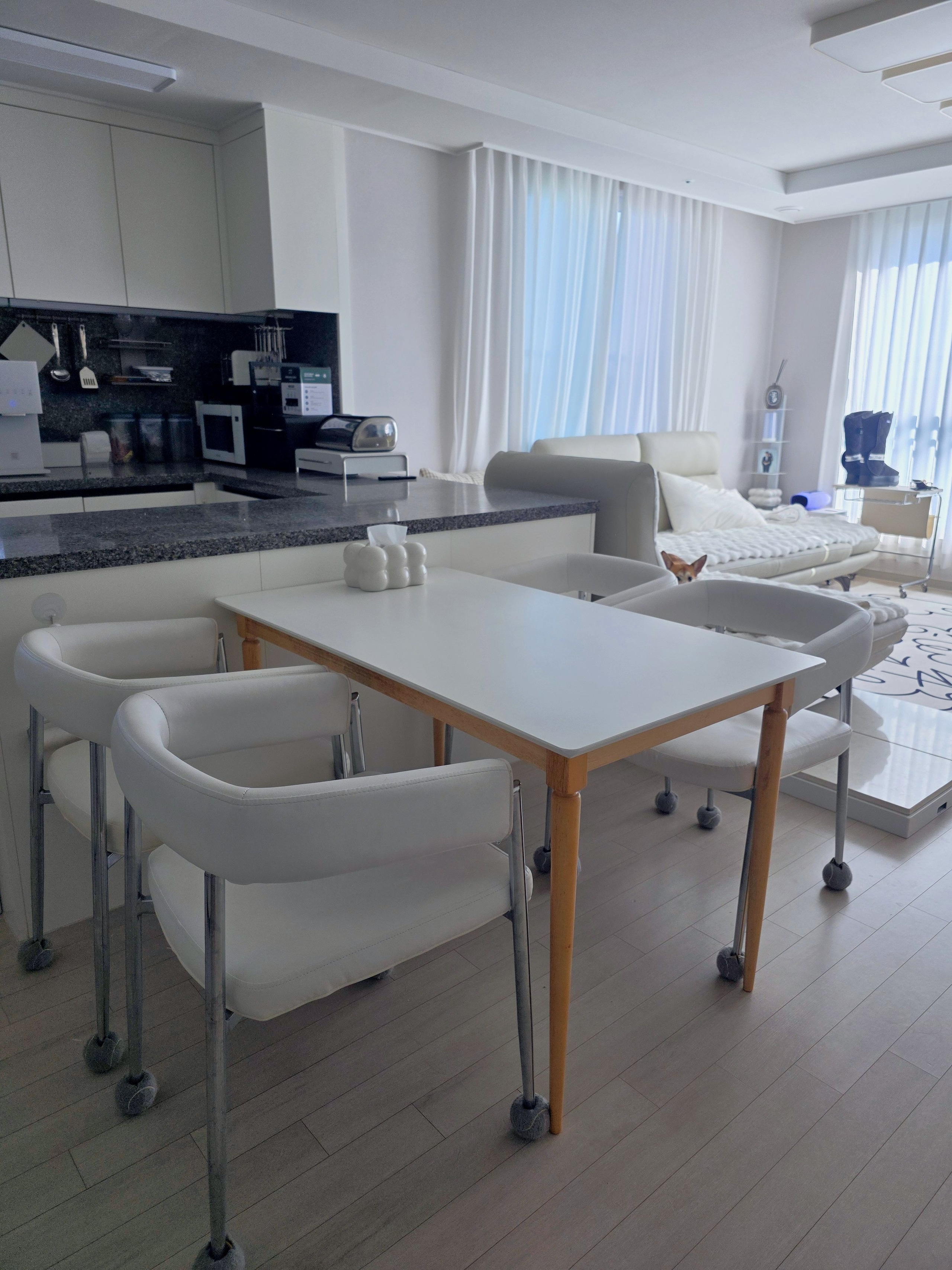 Roll-Up Stainless Steel Bread Box user photo