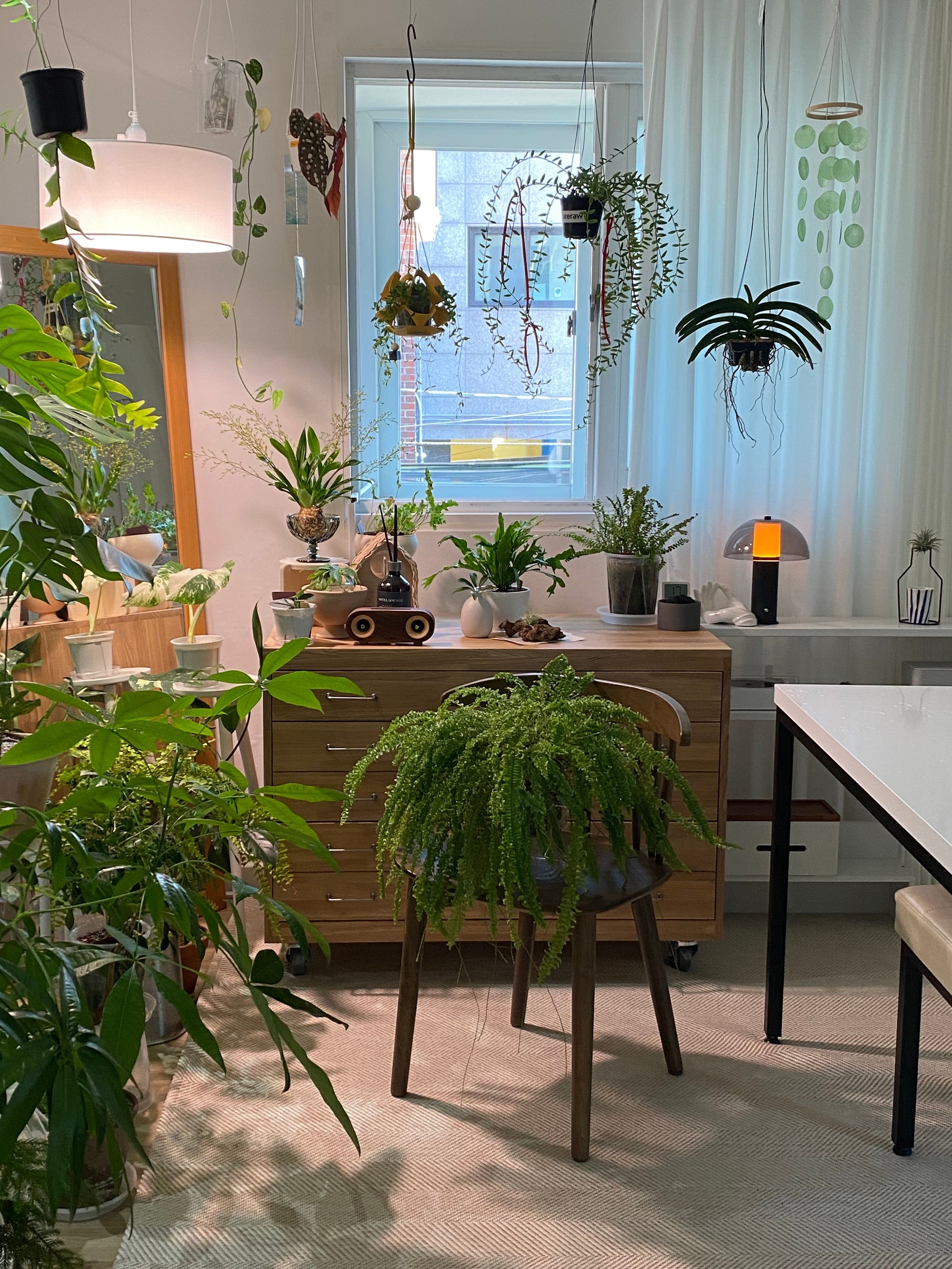 Geometric Plant Hanger user photo