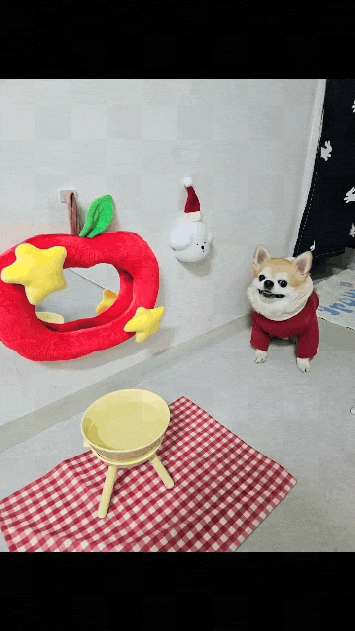 Puppy Motion Sensor Mood Light user photo